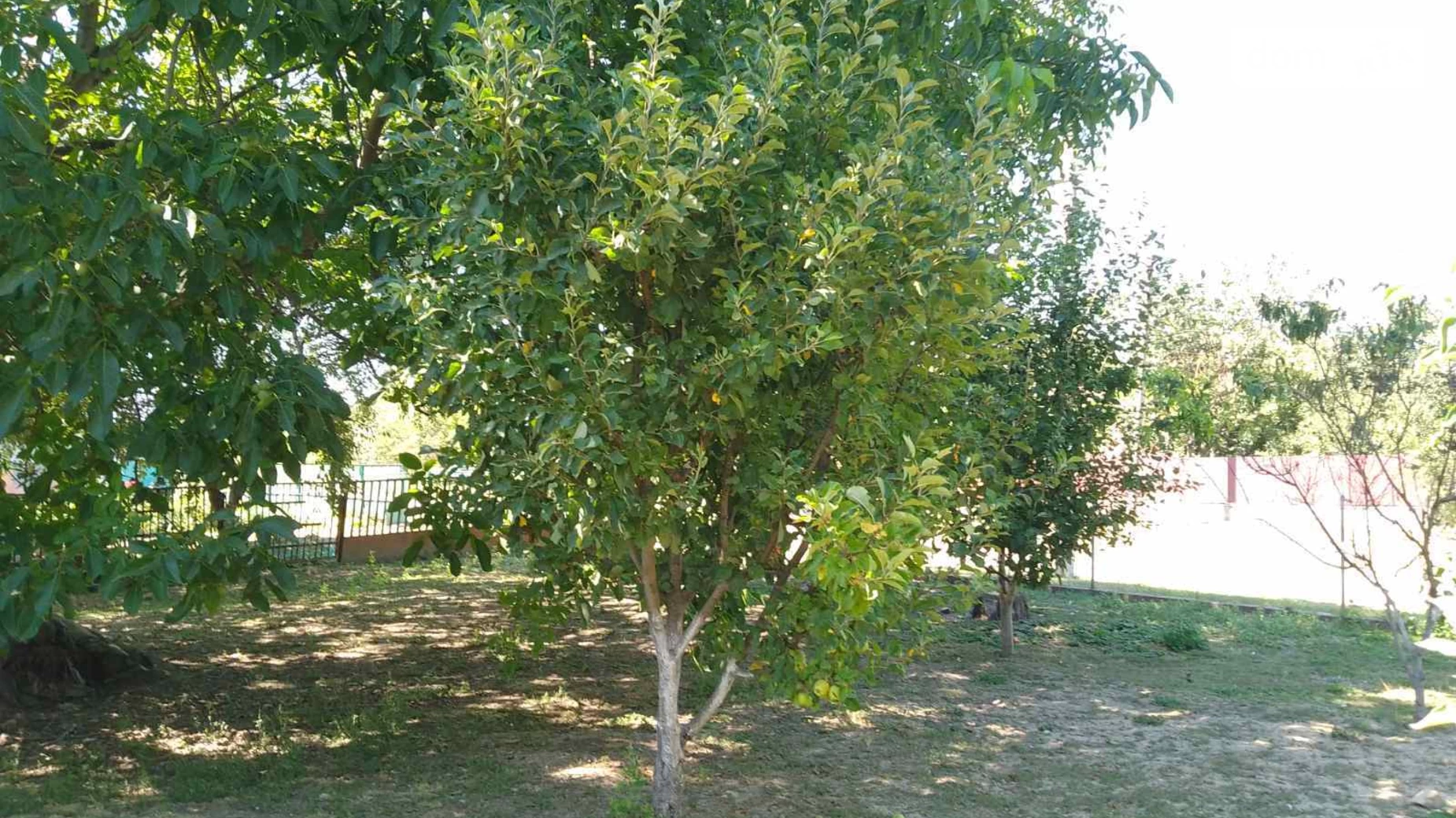 Продається земельна ділянка 33 соток у Черкаській області, цена: 13000 $ - фото 4