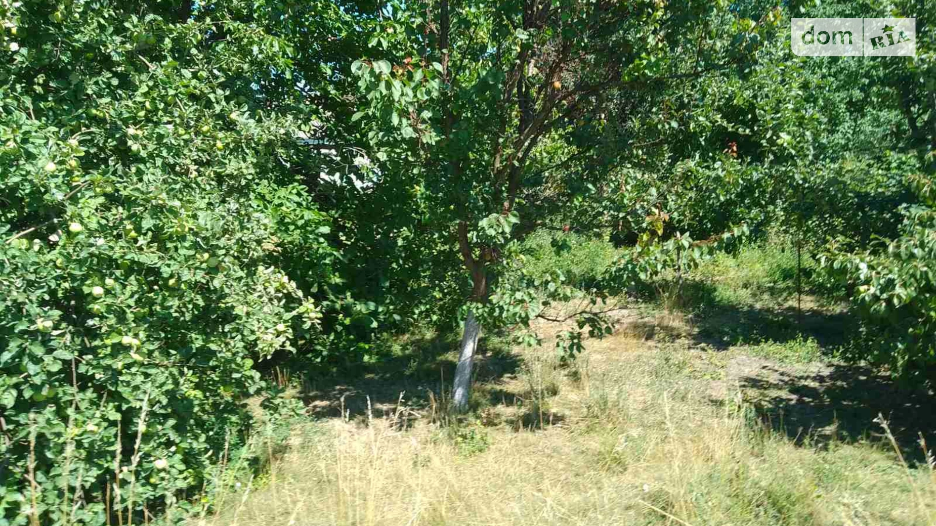 Продається земельна ділянка 33 соток у Черкаській області, цена: 13000 $ - фото 5