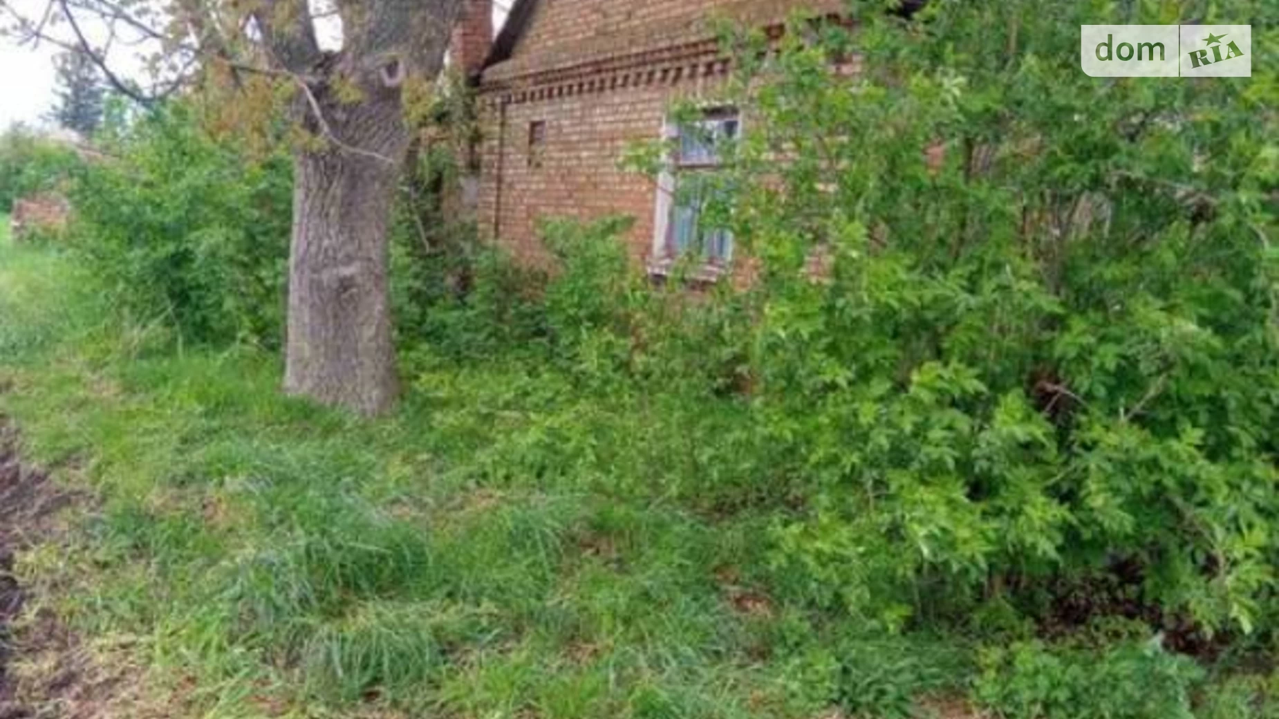 Продается одноэтажный дом 60 кв. м с садом, цена: 18000 $ - фото 3