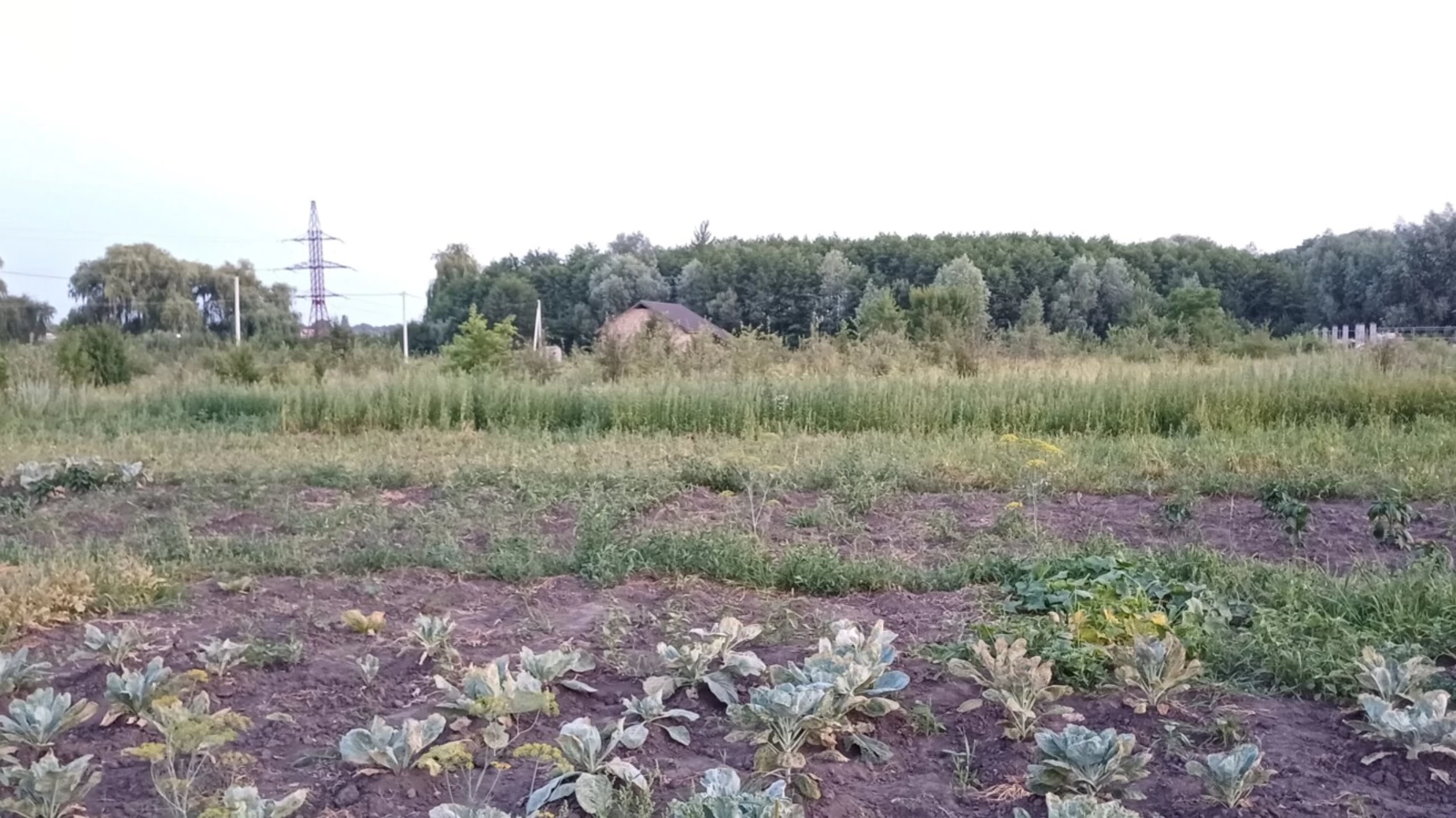 Продається земельна ділянка 9 соток у Вінницькій області, цена: 32000 $ - фото 3