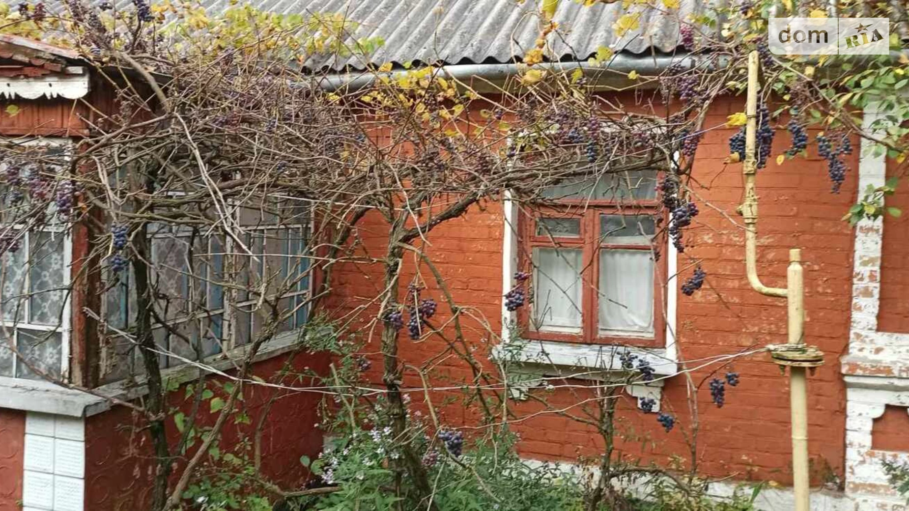 Продается одноэтажный дом 78.3 кв. м с беседкой, цена: 5500 $ - фото 3