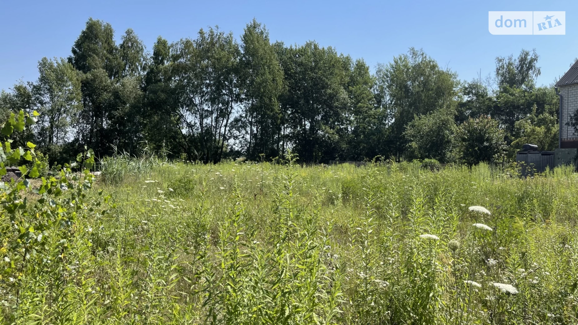 ул. Звездная Крошенский Дачный Масив Житомир, цена: 16000 $ - фото 3