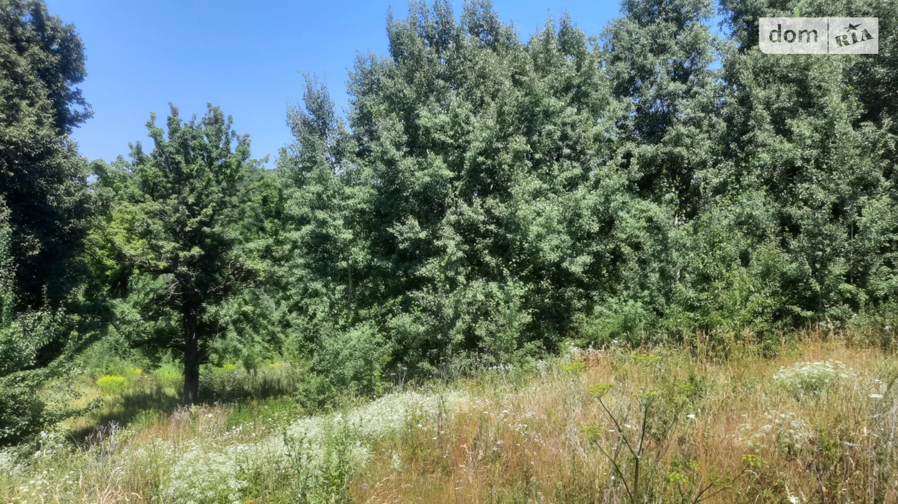 Продается земельный участок 10 соток в Полтавской области, цена: 12000 $ - фото 5