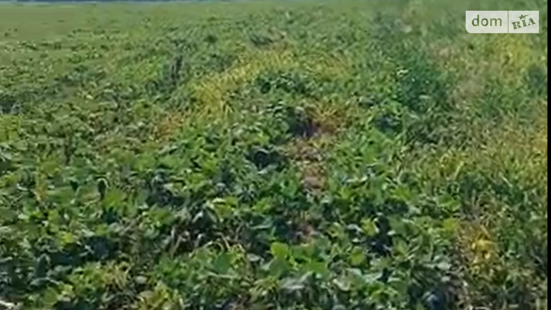 Продається земельна ділянка 2.35 соток у Черкаській області, цена: 85000 $ - фото 4