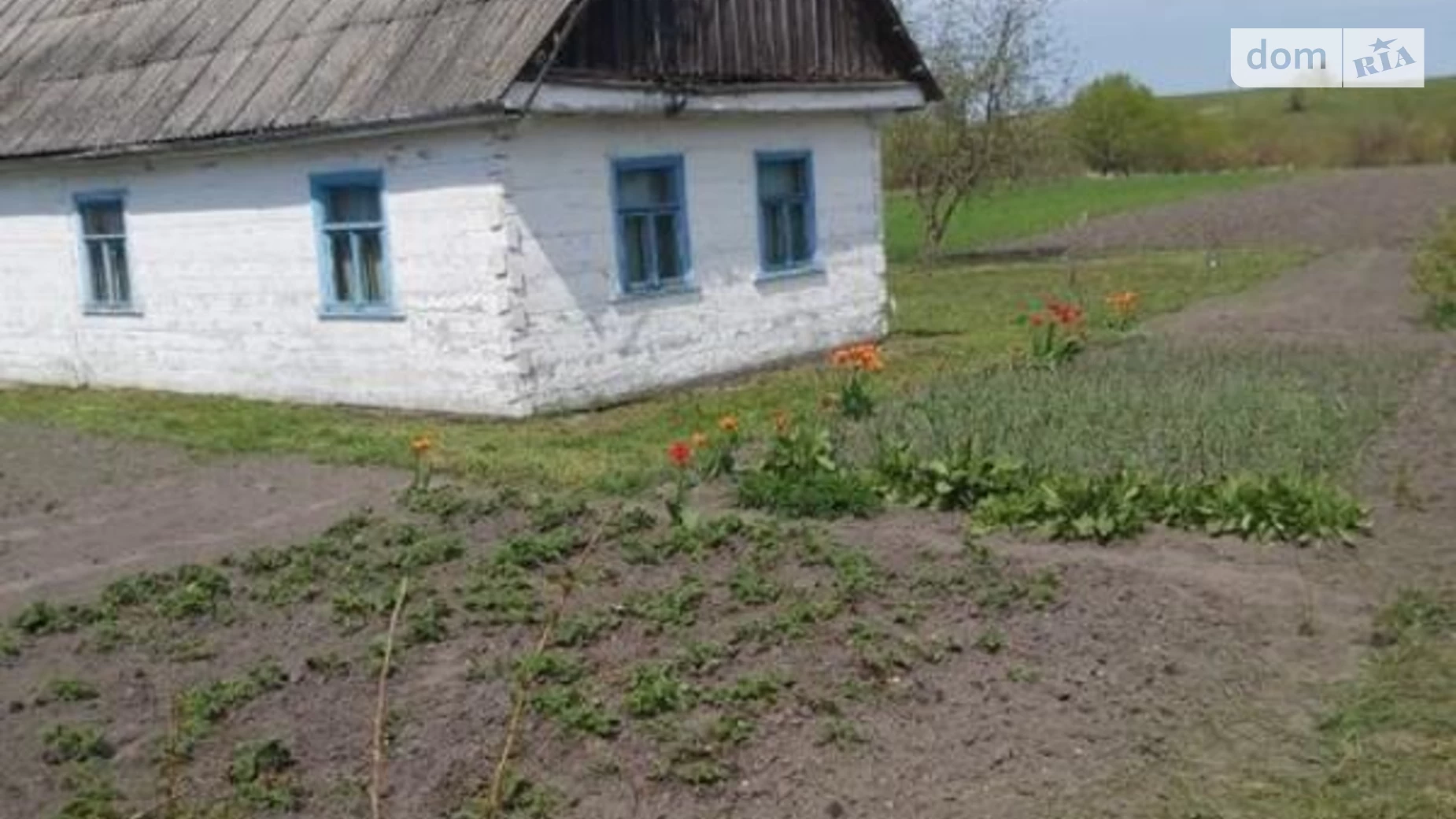 Продається одноповерховий будинок 44 кв. м з мансардою, цена: 80000 грн - фото 3