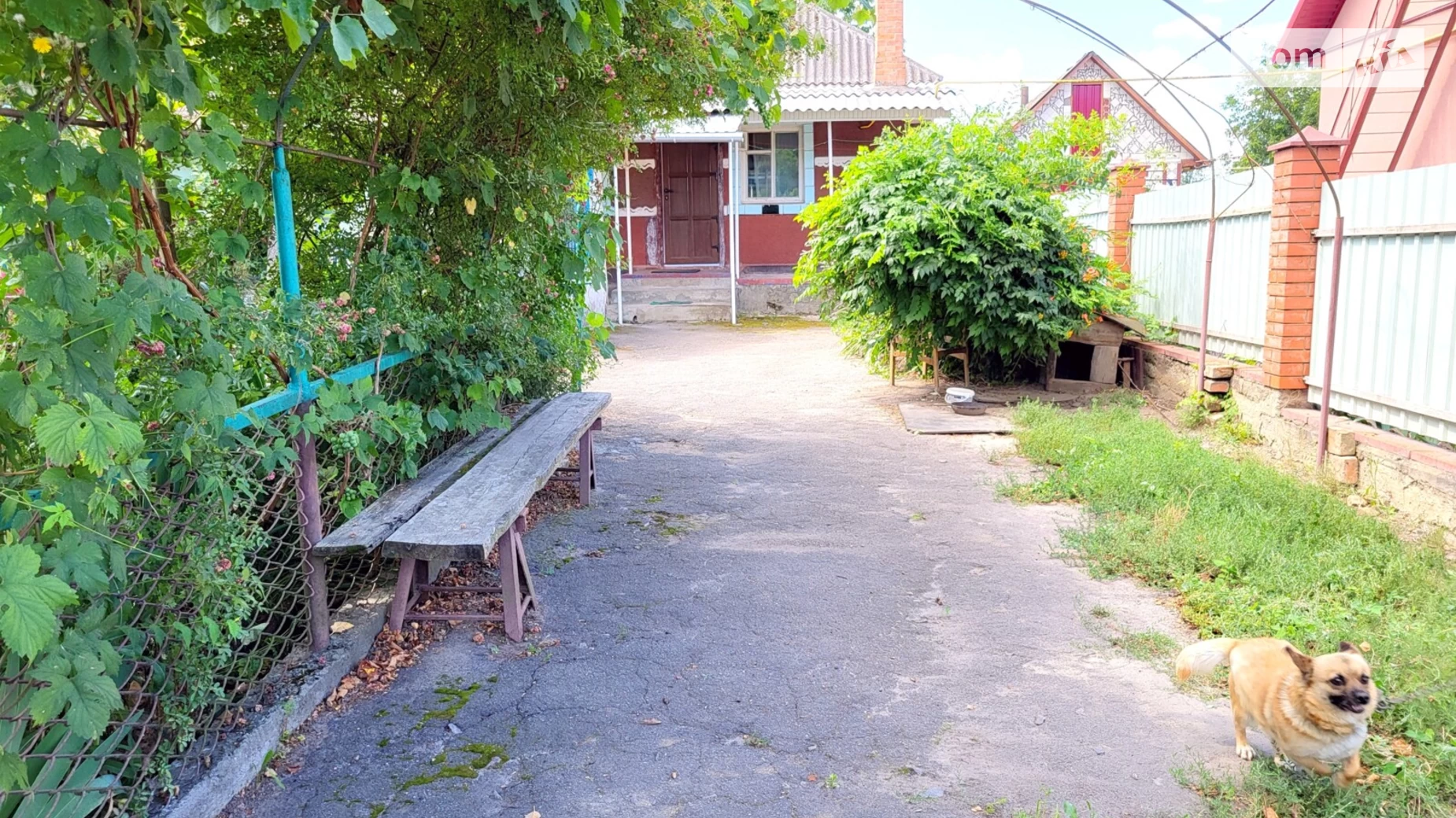 Продається одноповерховий будинок 65 кв. м з терасою, цена: 32500 $ - фото 2