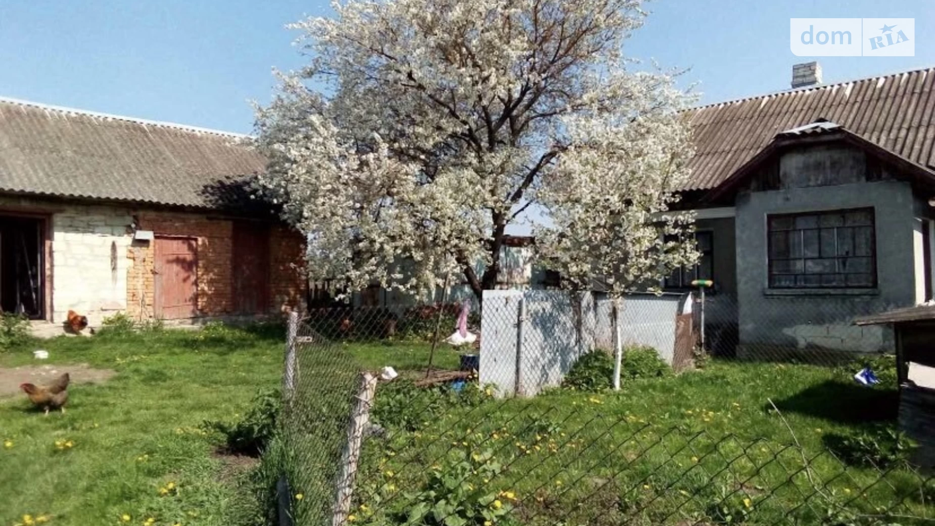 Продається одноповерховий будинок 54.9 кв. м з бесідкою, цена: 12000 $ - фото 4