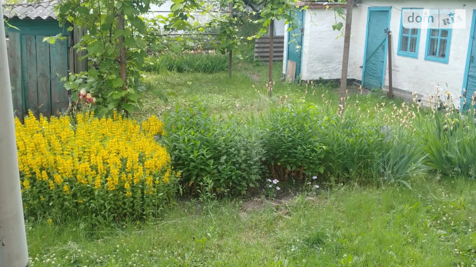 Продается одноэтажный дом 69.4 кв. м с балконом, цена: 7000 $ - фото 3