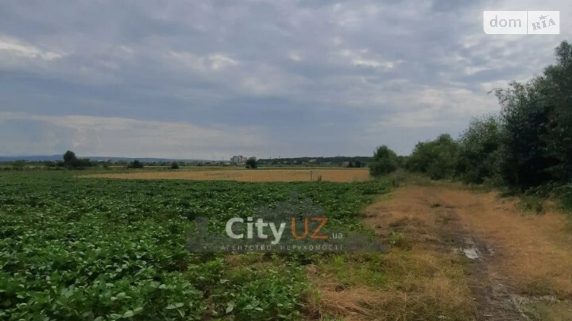 Продається земельна ділянка 43.76 соток у Закарпатській області, цена: 87520 $ - фото 4