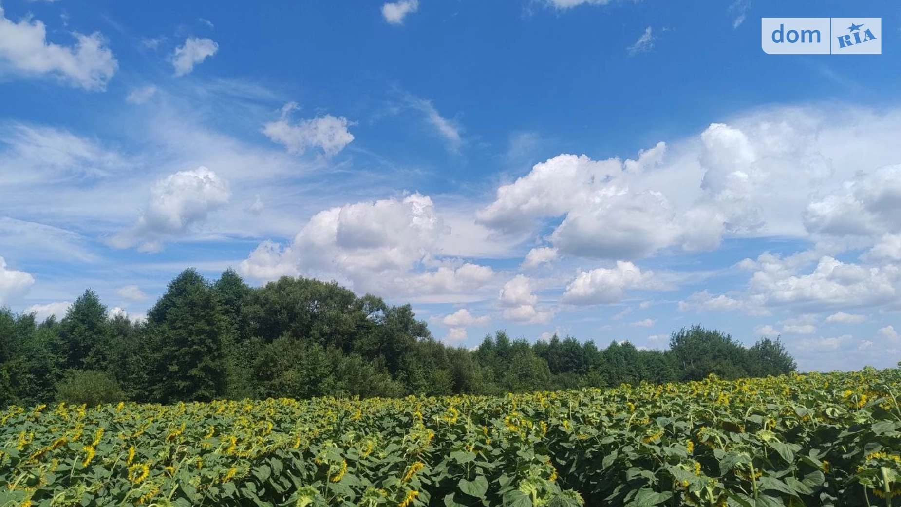 Продається земельна ділянка 1.3 соток у Вінницькій області, цена: 46000 $ - фото 3