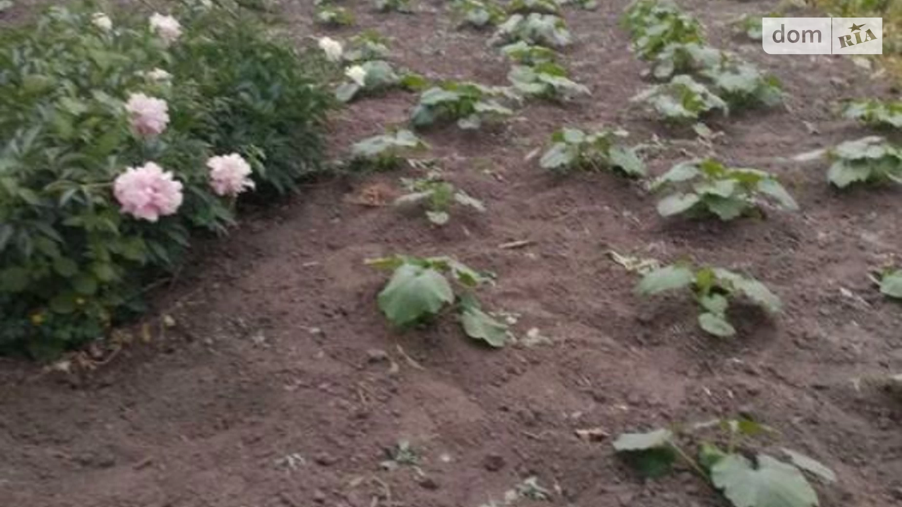 Продається одноповерховий будинок 30 кв. м з банею/сауною, цена: 14000 $ - фото 5