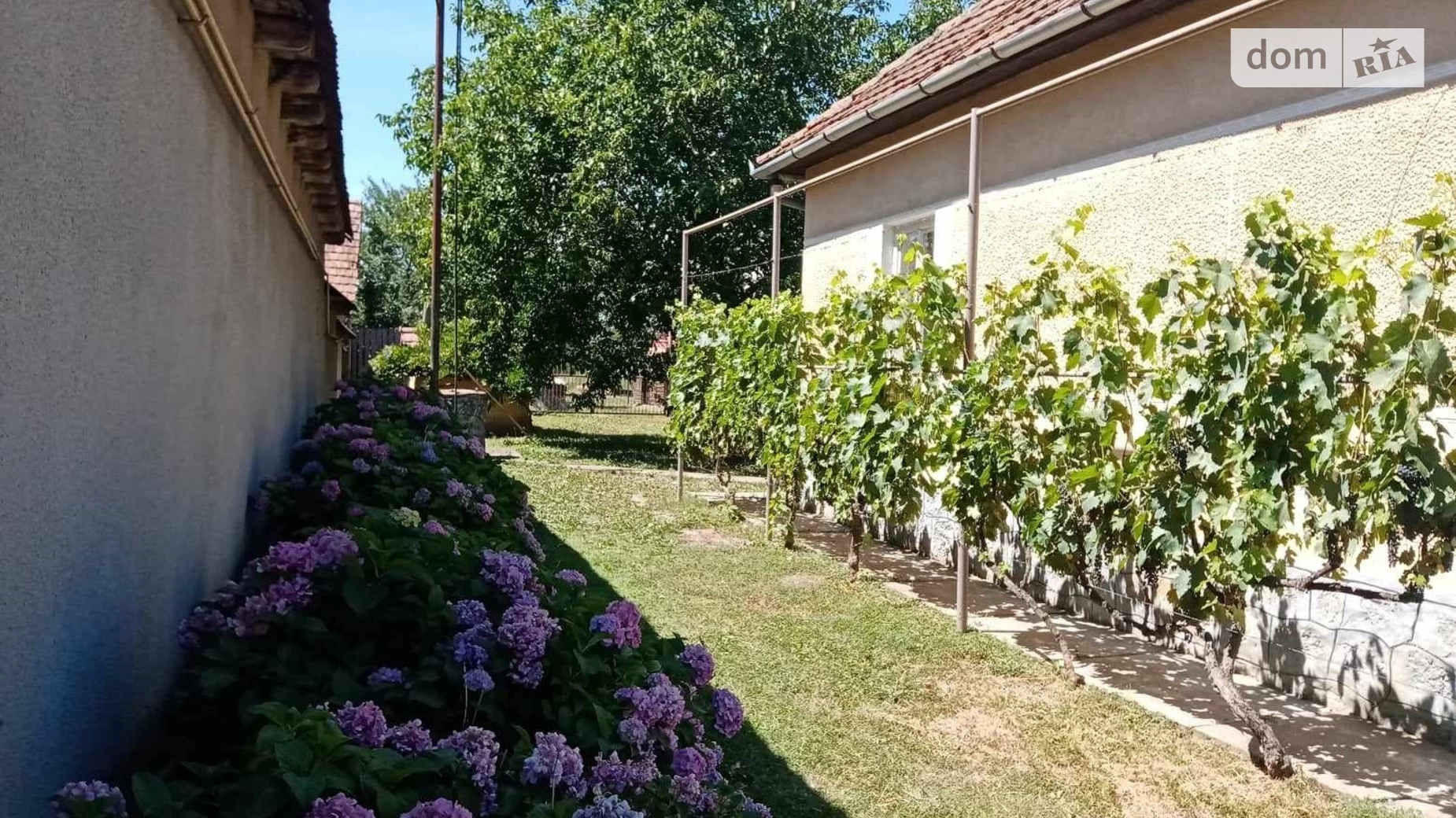 Продається одноповерховий будинок 139.2 кв. м с басейном, цена: 30000 $ - фото 5
