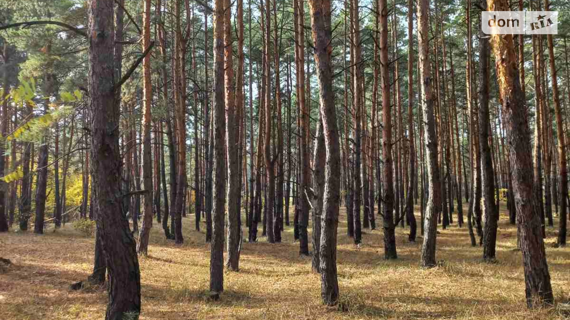 Продается земельный участок 6 соток в Днепропетровской области, цена: 15000 $ - фото 3