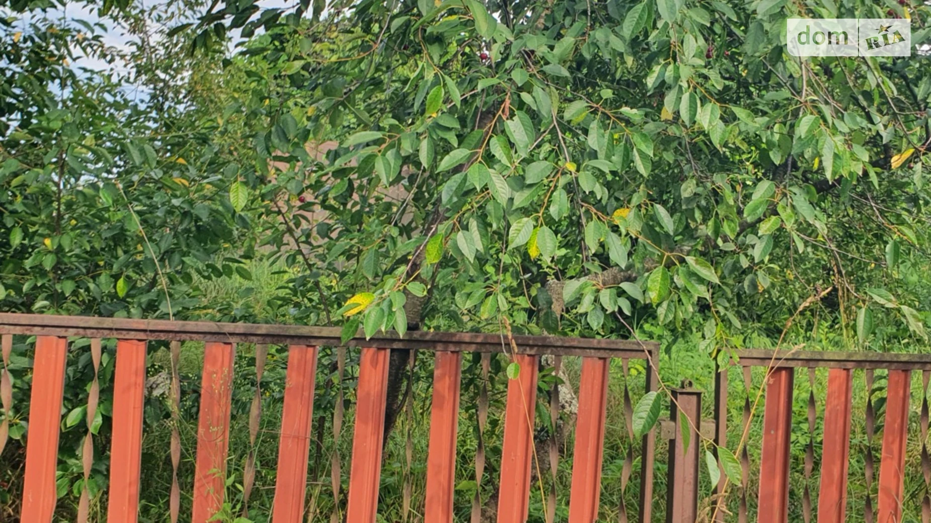 Продается одноэтажный дом 30 кв. м с мебелью, цена: 6500 $ - фото 2