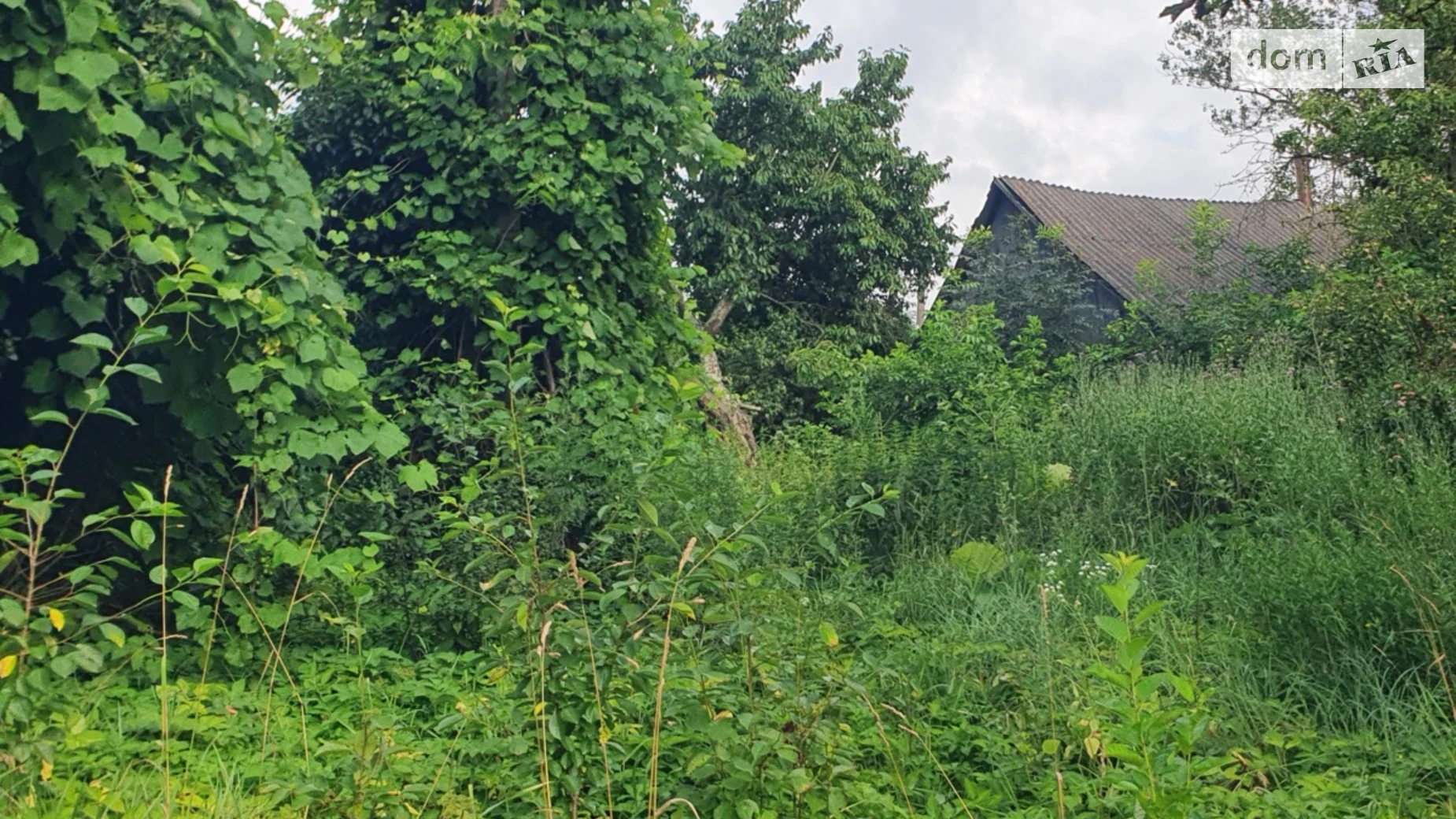 Продается одноэтажный дом 30 кв. м с мебелью, цена: 6500 $ - фото 4