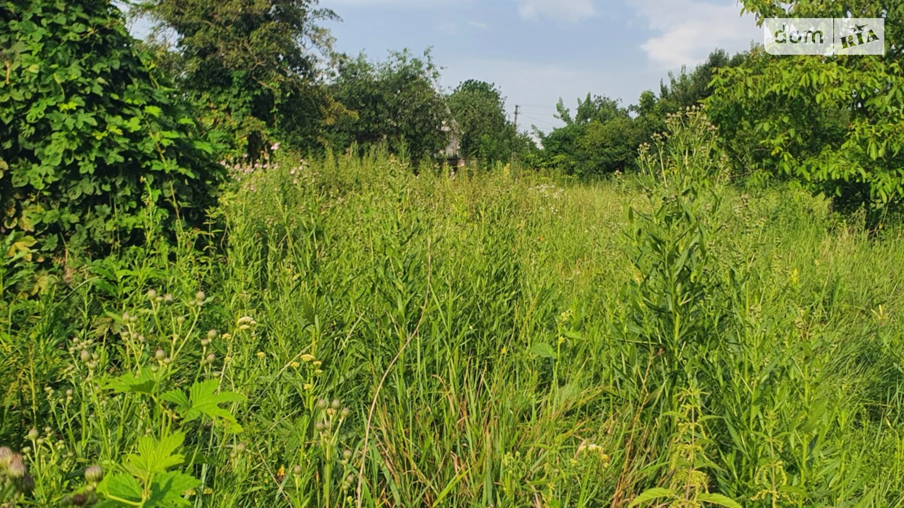 Продается одноэтажный дом 30 кв. м с мебелью, цена: 6500 $ - фото 5