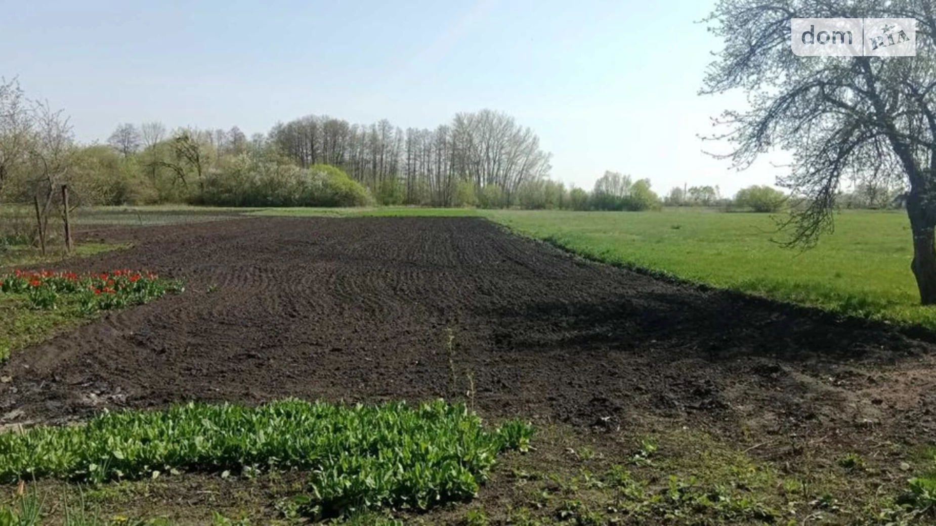 Продається одноповерховий будинок 90 кв. м з бесідкою, цена: 15000 $ - фото 4