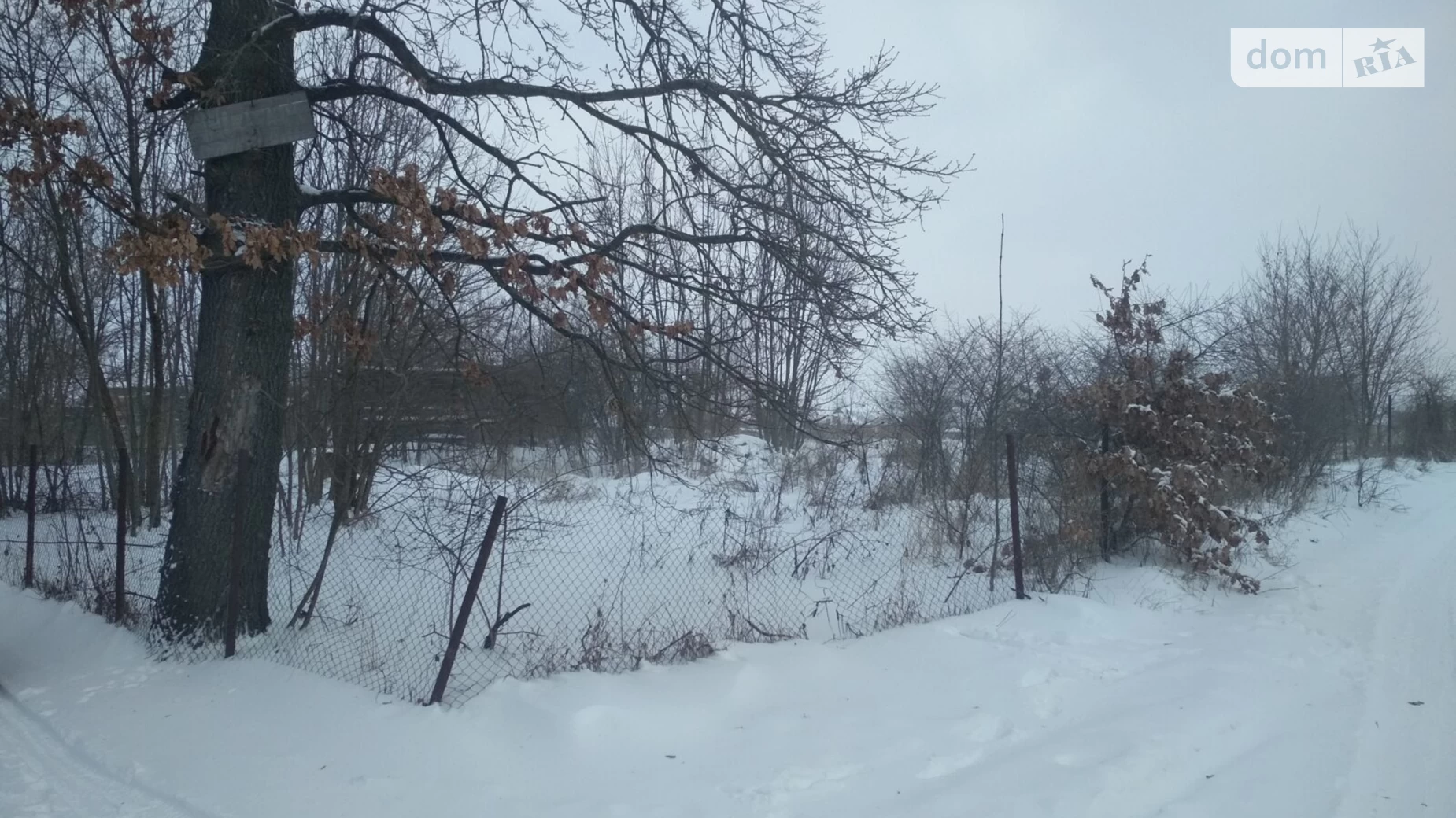 Сосонка, цена: 12399 $ - фото 3
