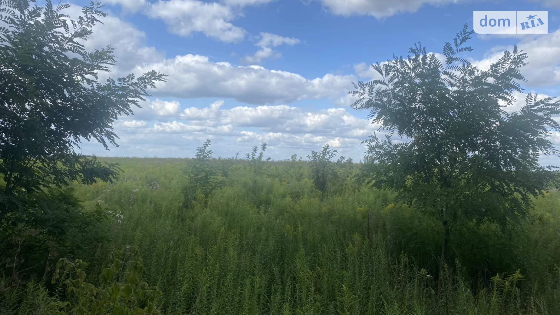 Продається земельна ділянка 6 соток у Вінницькій області, цена: 20500 $ - фото 3