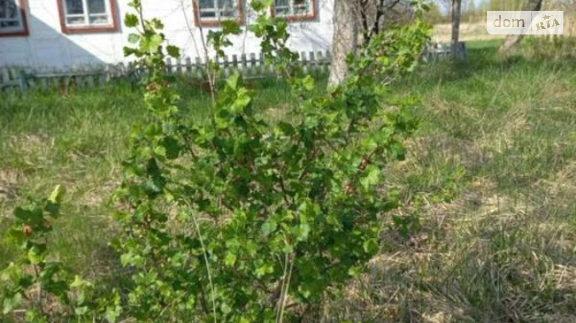 Продается одноэтажный дом 55 кв. м с мансардой, цена: 10000 $ - фото 5