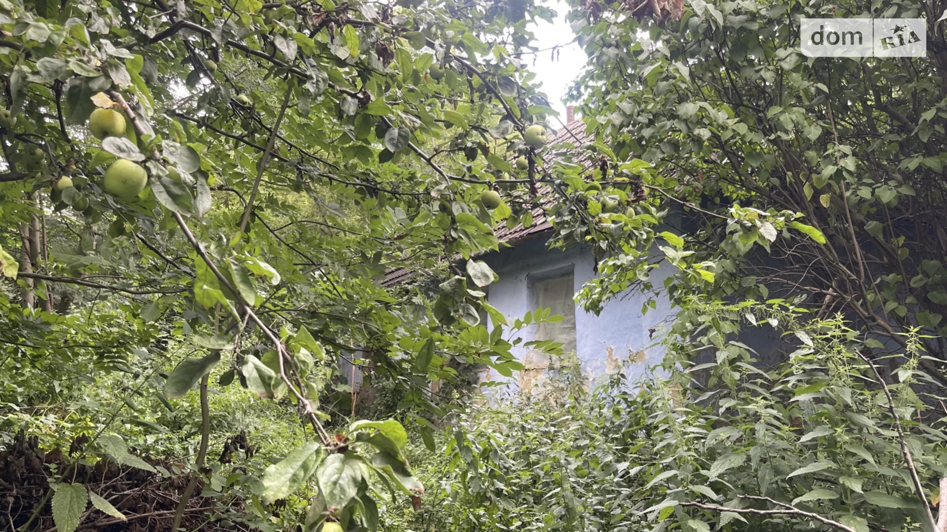 вул. Українська(Кошового) Ярмолинці, цена: 16500 $ - фото 3