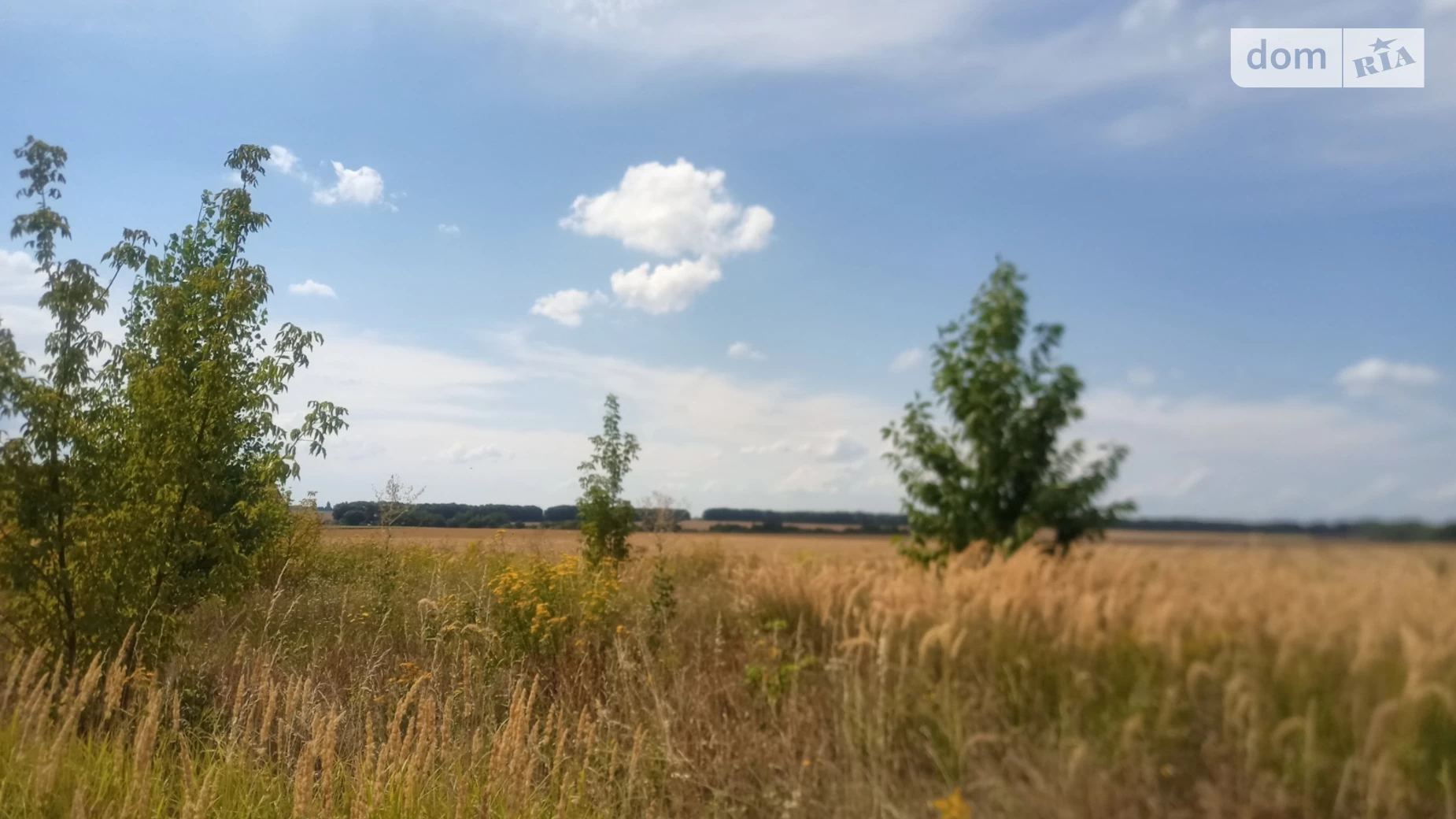 Продається земельна ділянка 9 соток у Вінницькій області, цена: 40000 $ - фото 5