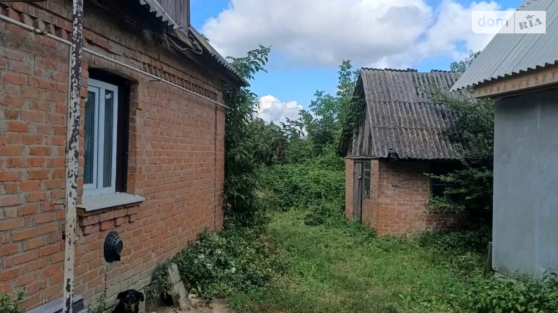 Продається одноповерховий будинок 50 кв. м з садом, цена: 17500 $ - фото 4