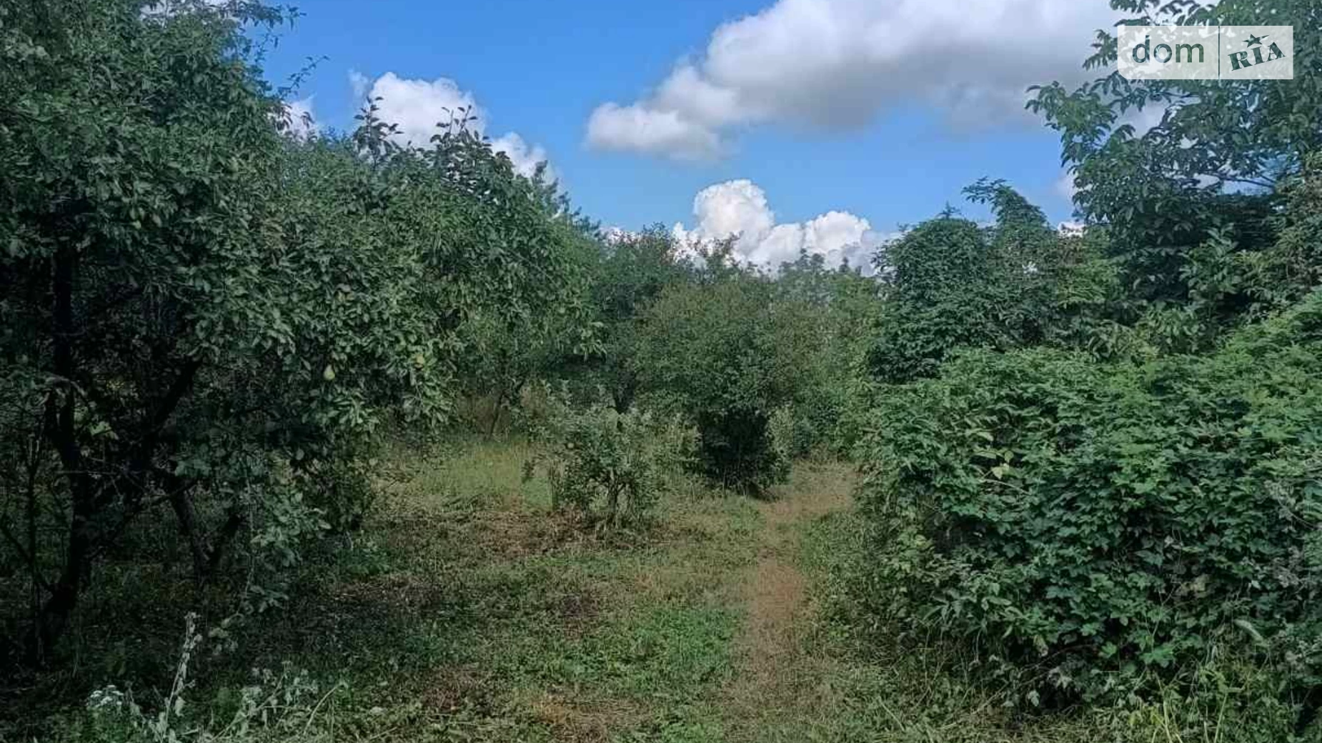 Продається одноповерховий будинок 50 кв. м з садом, цена: 17500 $ - фото 3