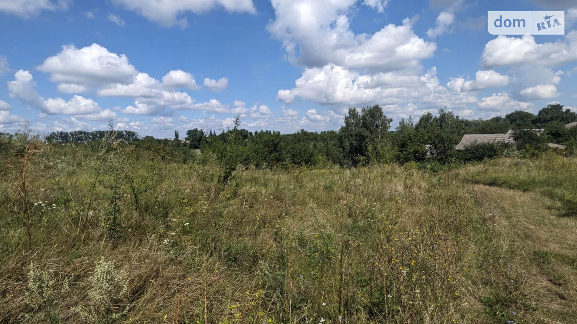 Продається земельна ділянка 45 соток у Вінницькій області, цена: 16000 $ - фото 3