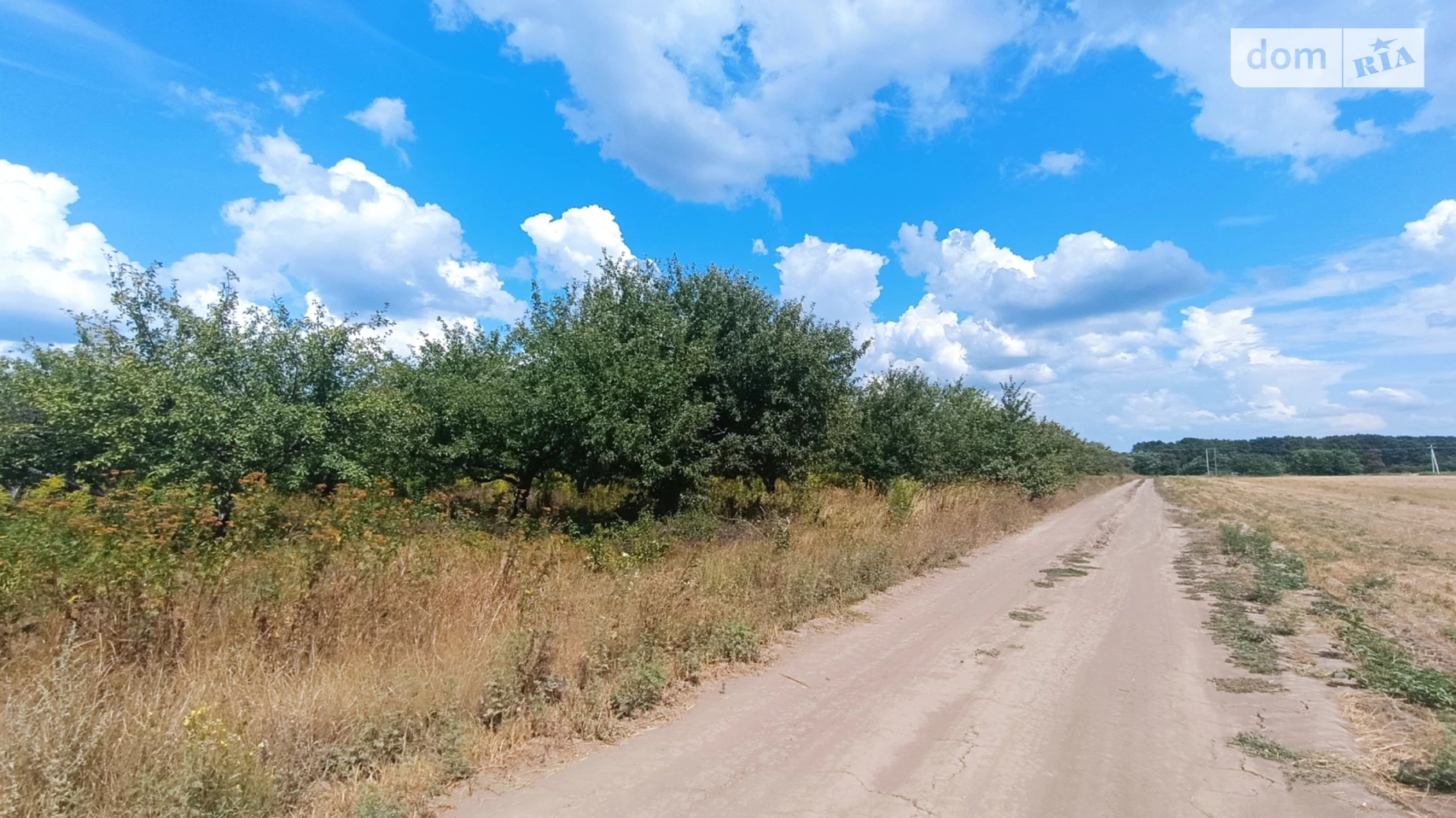 Продається земельна ділянка 275 соток у Полтавській області, цена: 20000 $ - фото 4
