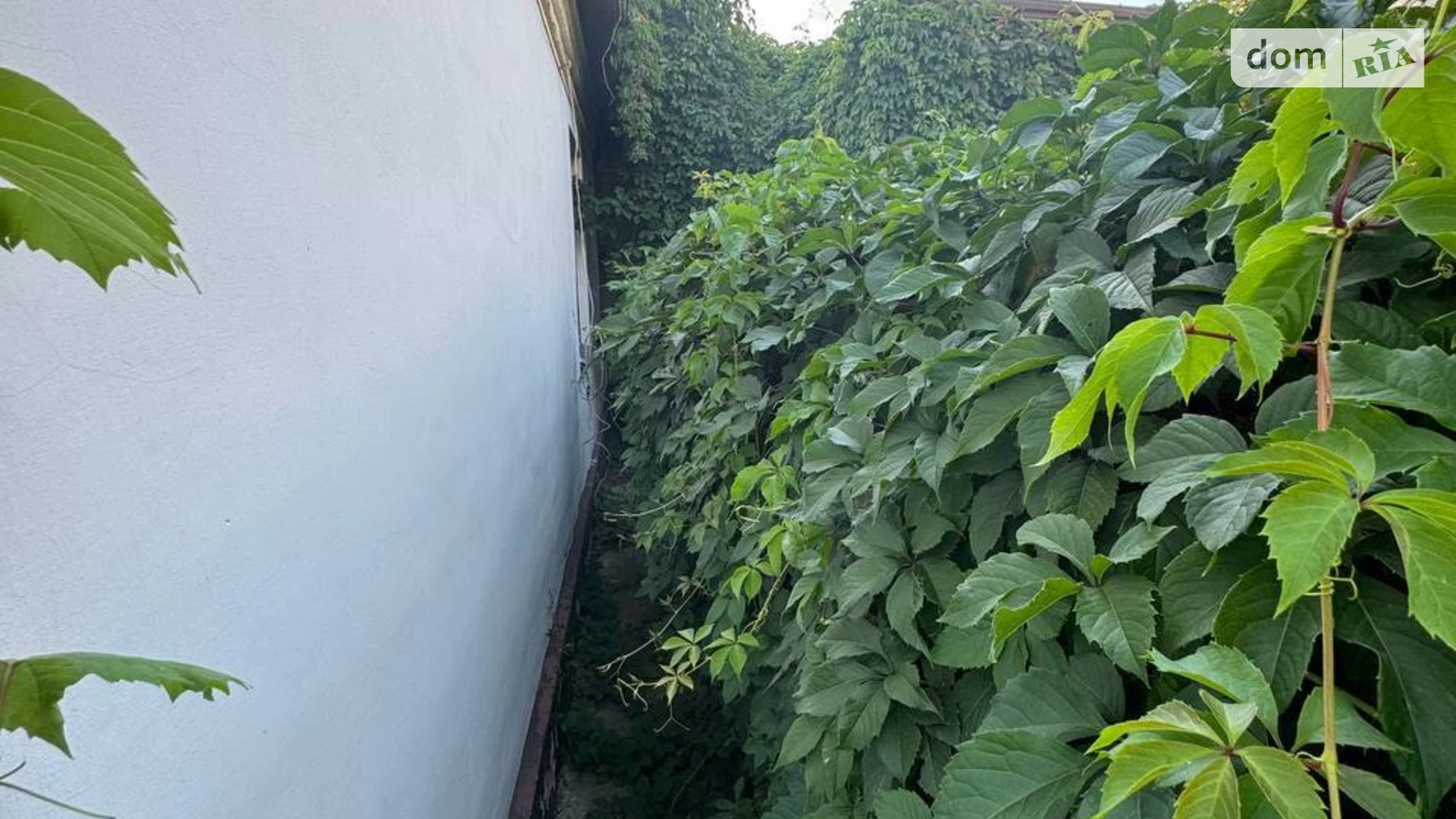 Продается одноэтажный дом 101.2 кв. м с гаражом, цена: 51000 $ - фото 2