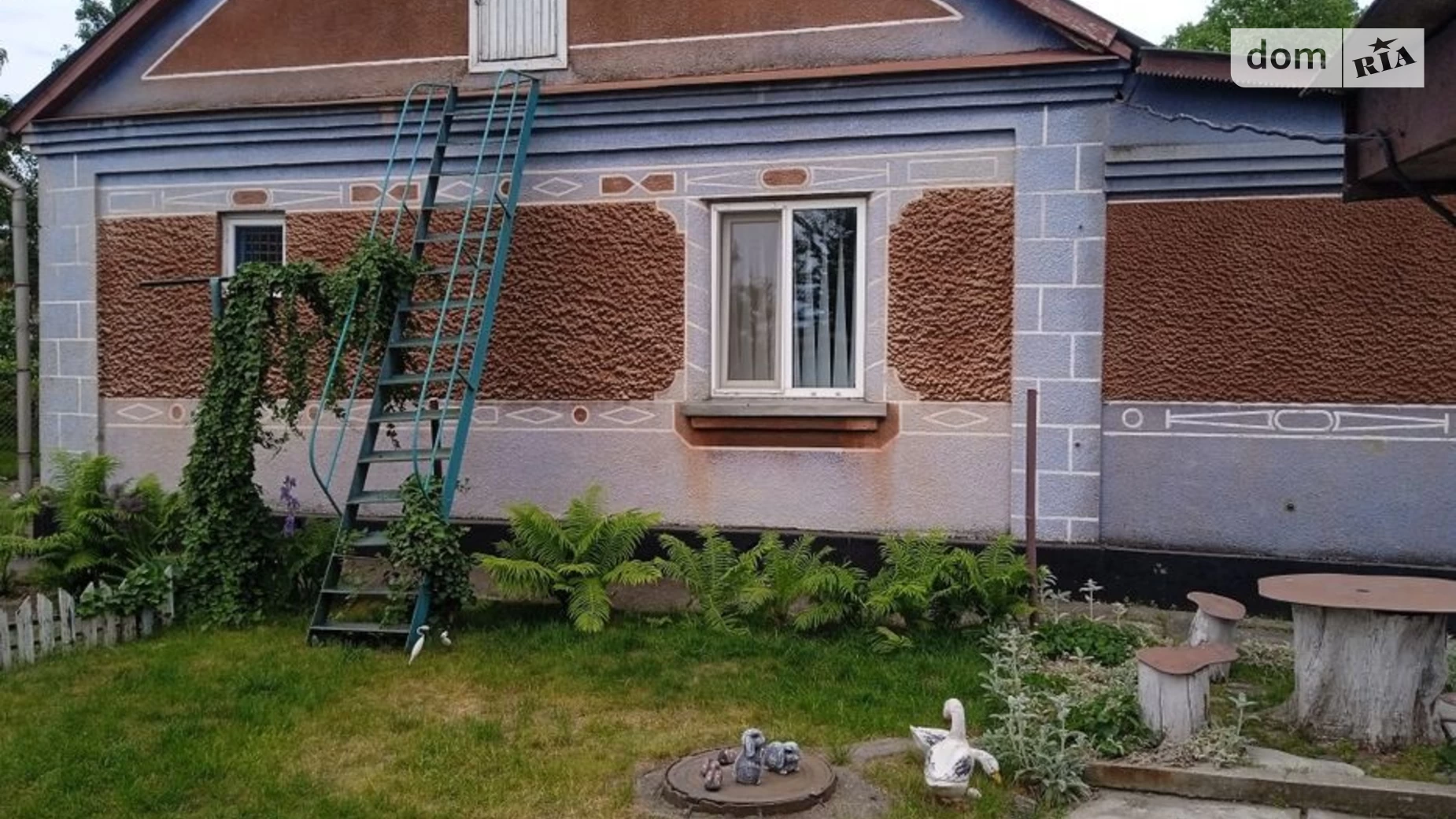 пров. Молодіжний Звягель, цена: 40000 $ - фото 3