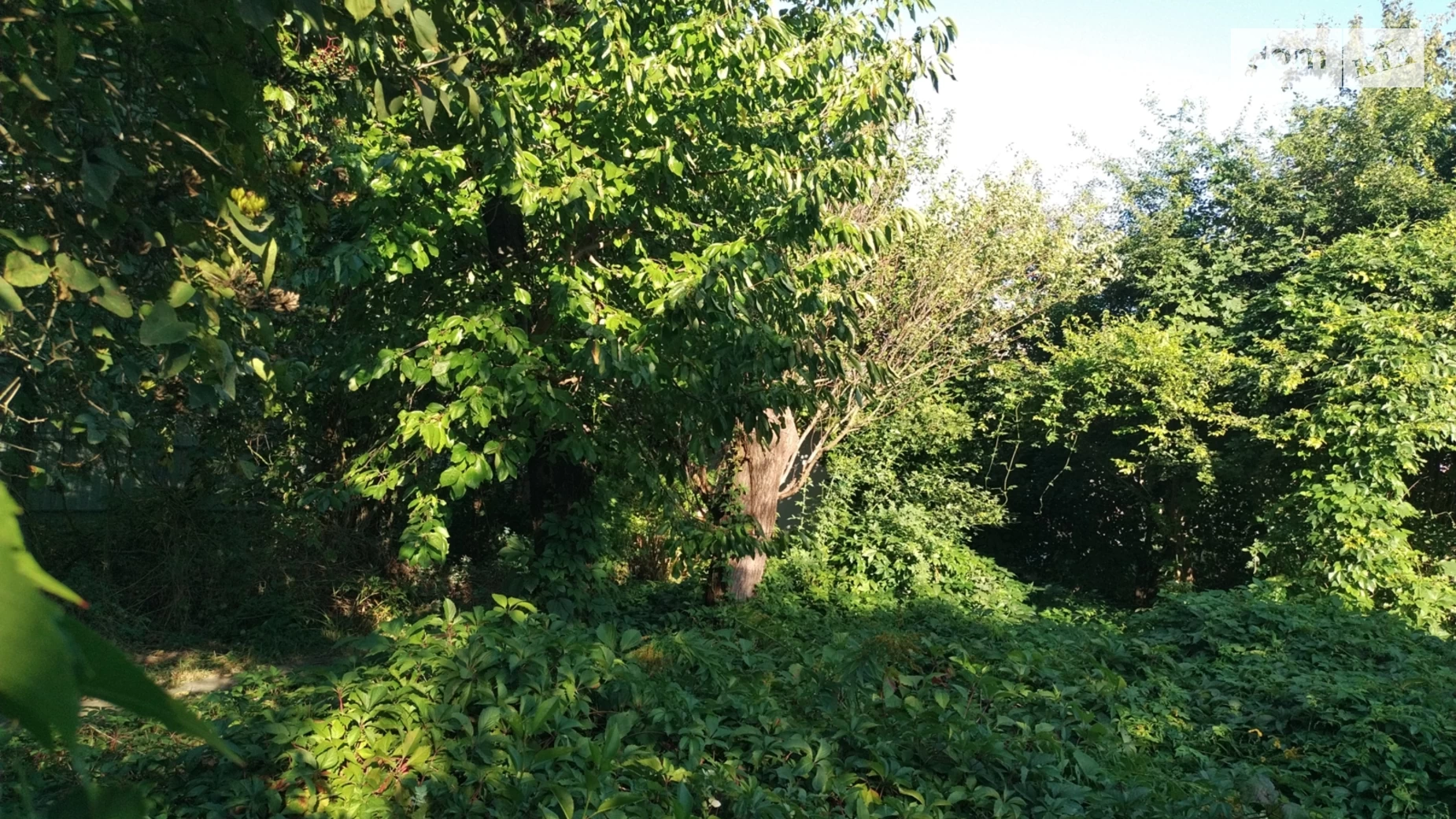 ул. Ивана Дзюбы(Академика Павлова) Славянка Винница, цена: 165000 $ - фото 4