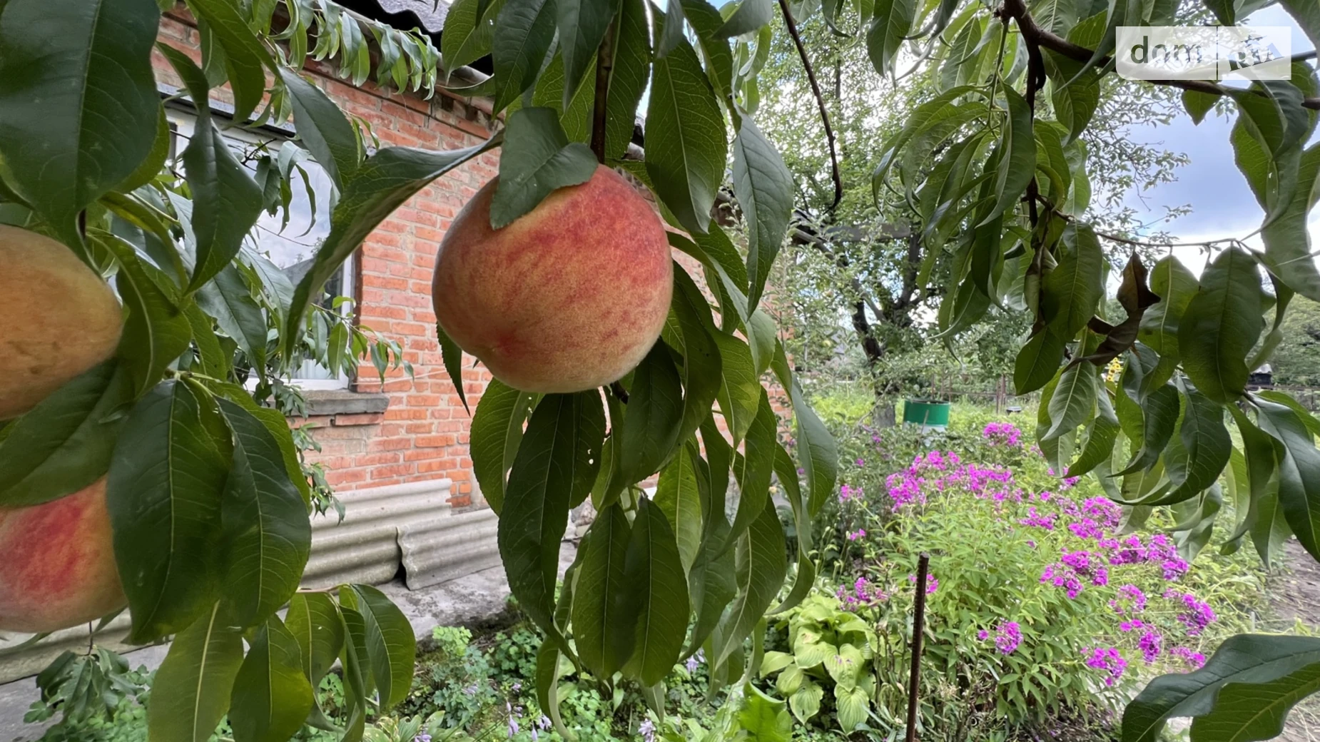 Сдается в аренду часть дома 50 кв. м с бассейном, цена: 18000 грн - фото 4