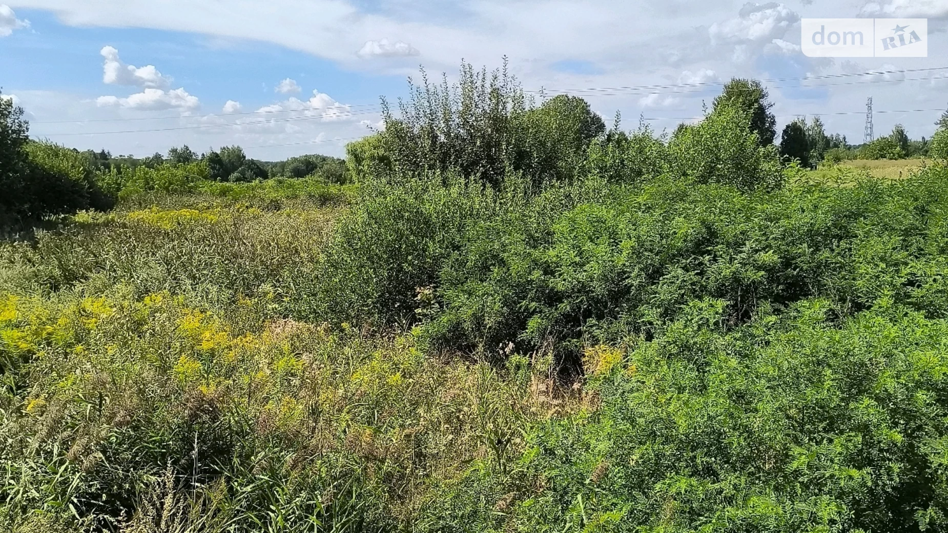 Продається земельна ділянка 55 соток у Вінницькій області, цена: 60000 $ - фото 2