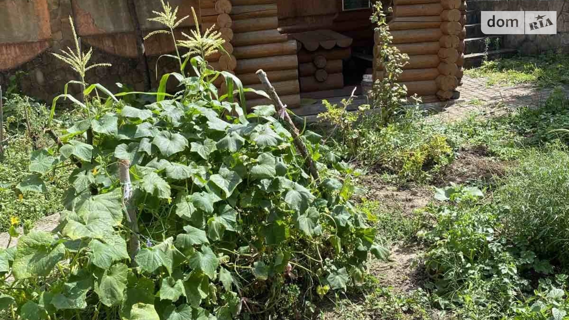 Продается 3-комнатная квартира 116.5 кв. м в Ужгороде, ул. Русская, 12 - фото 5