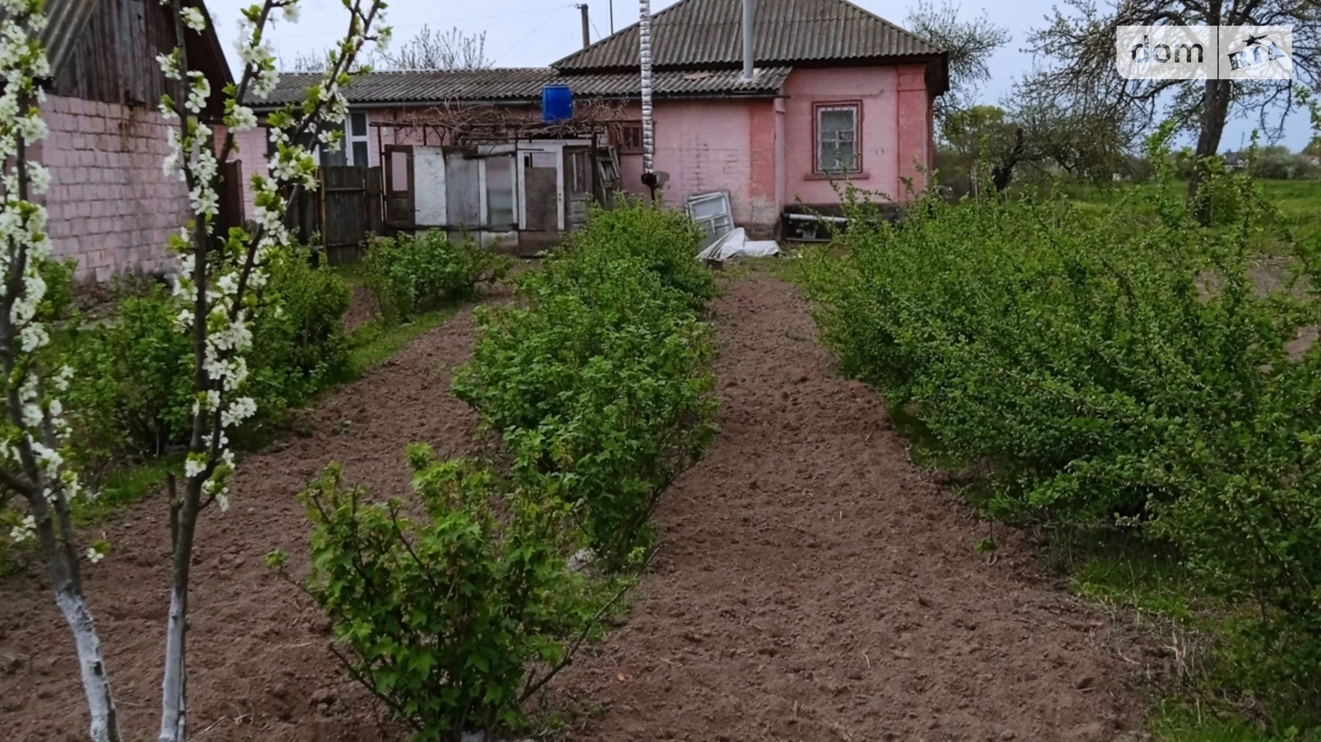 Продається одноповерховий будинок 100.5 кв. м з подвалом, цена: 22000 $ - фото 5