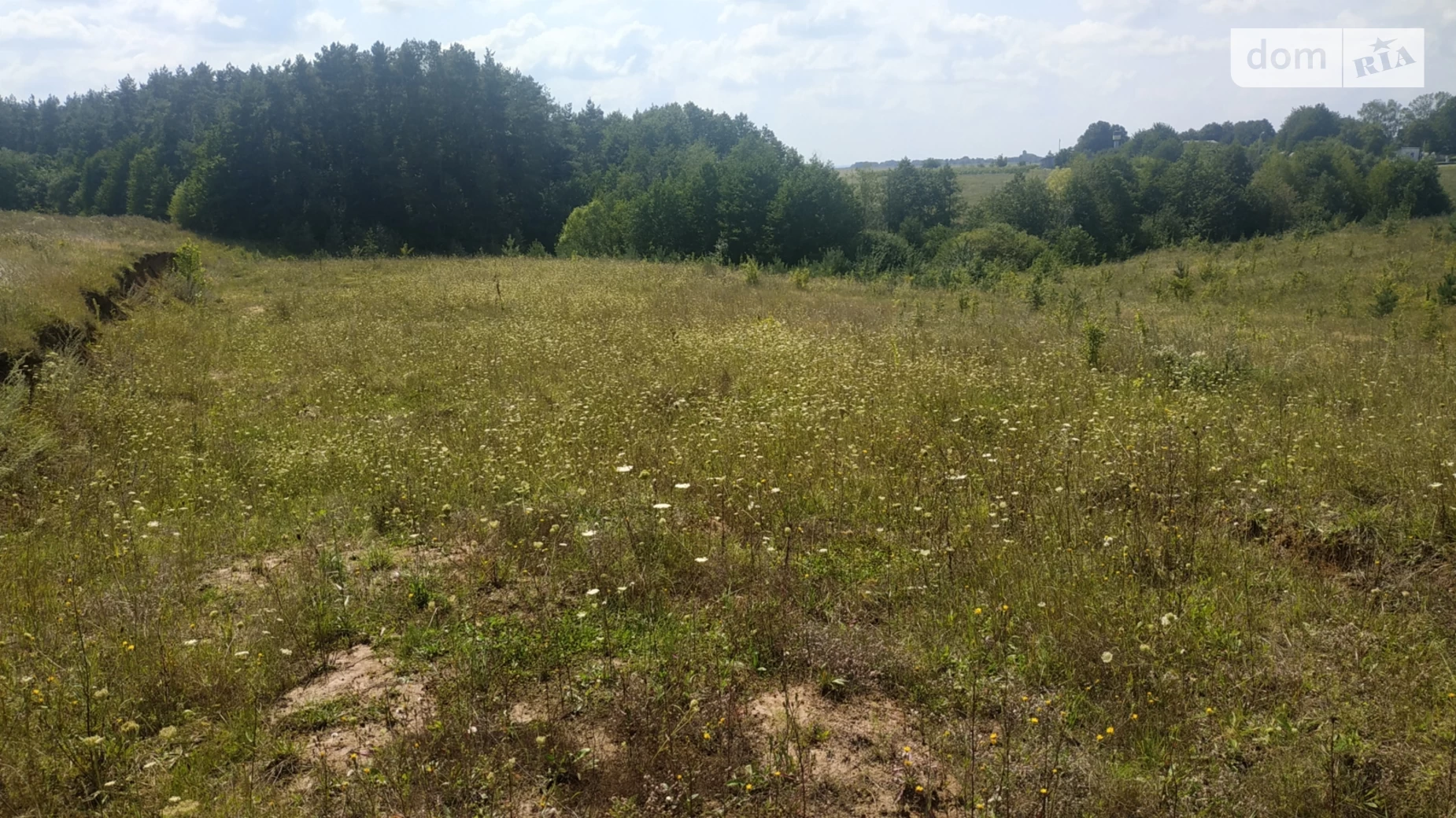 вул. Вінницька Дашківці, цена: 16000 $ - фото 4