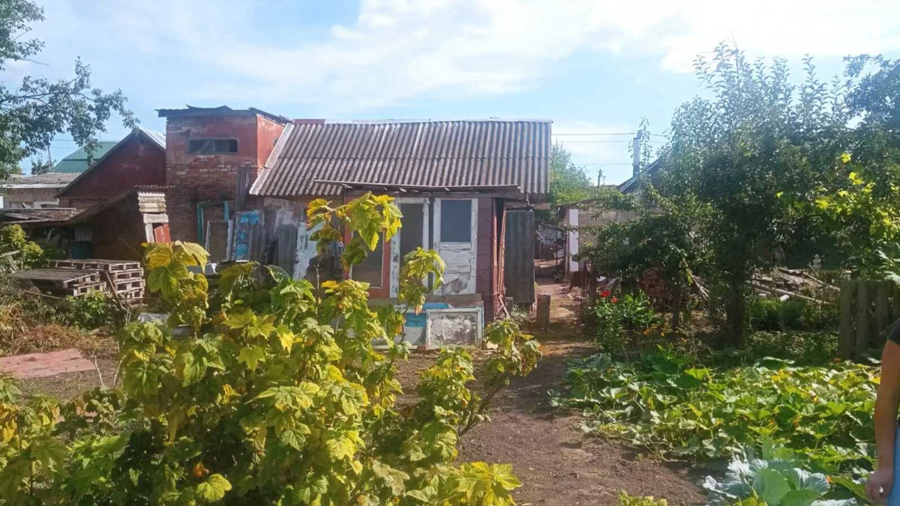 Продается земельный участок 10 соток в Винницкой области, цена: 45000 $ - фото 2