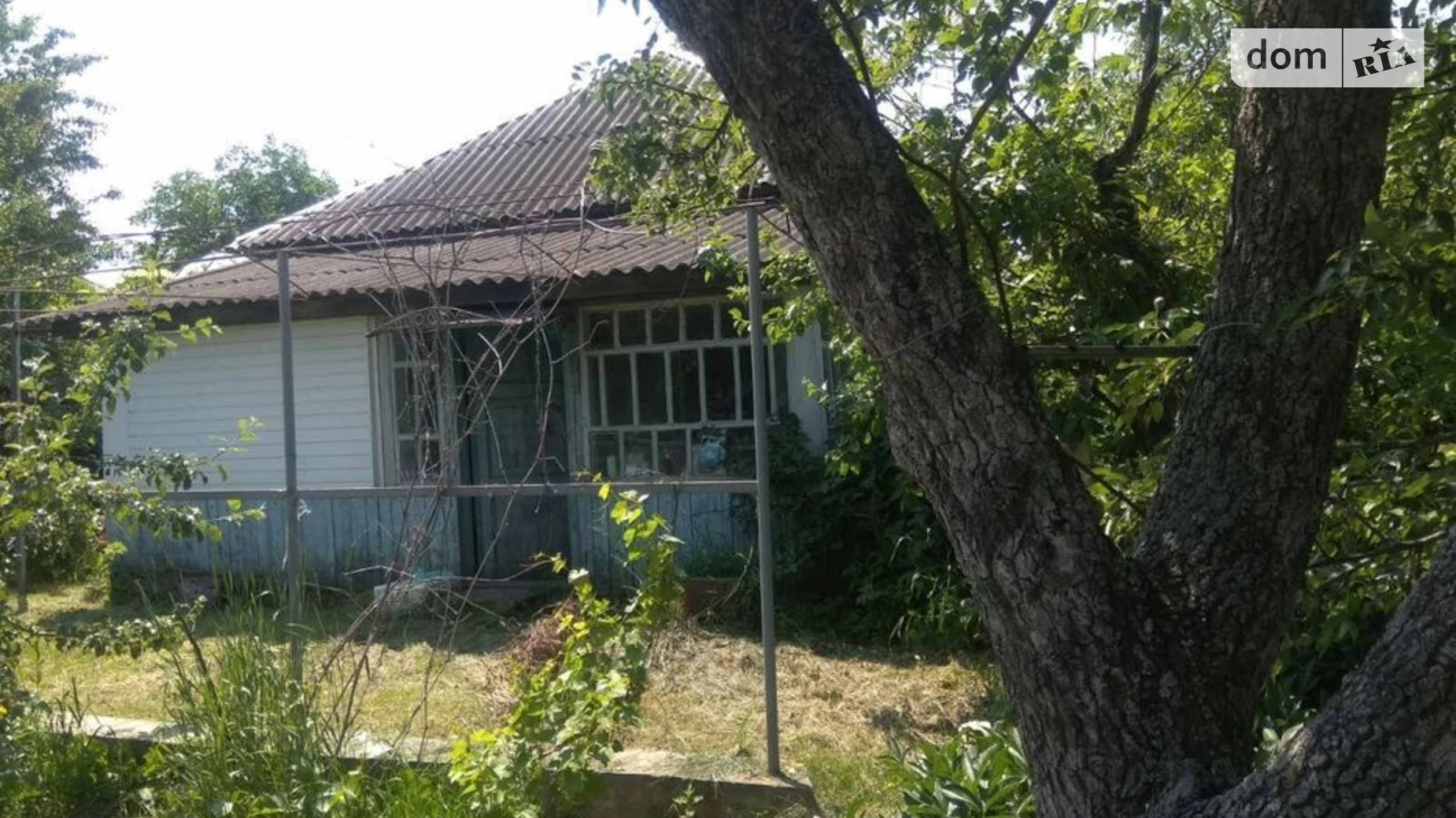Продается одноэтажный дом 55 кв. м с подвалом, цена: 6000 $ - фото 4