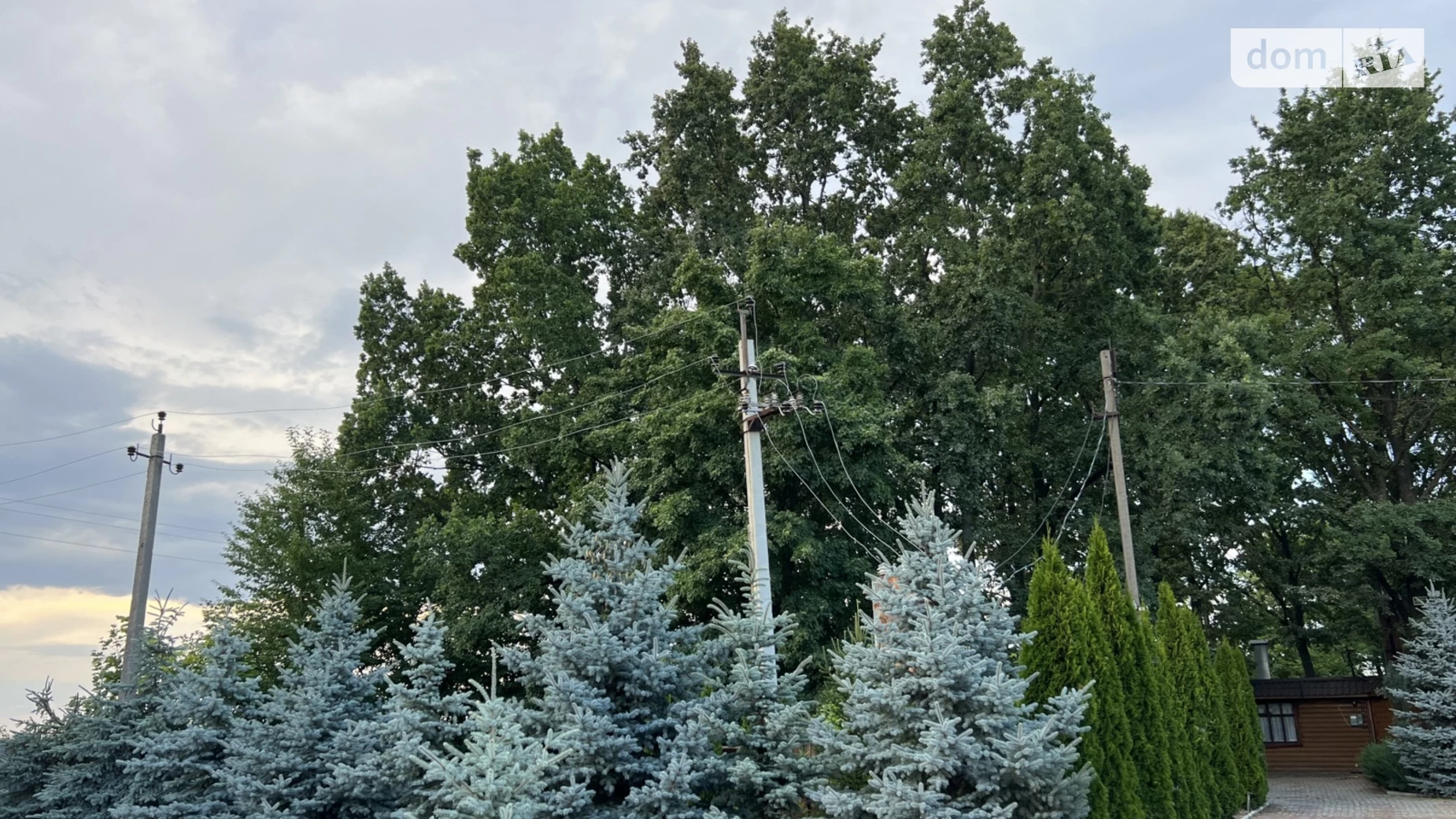 Продается помещения свободного назначения 350 кв. м в 1-этажном здании, цена: 189000 $ - фото 5
