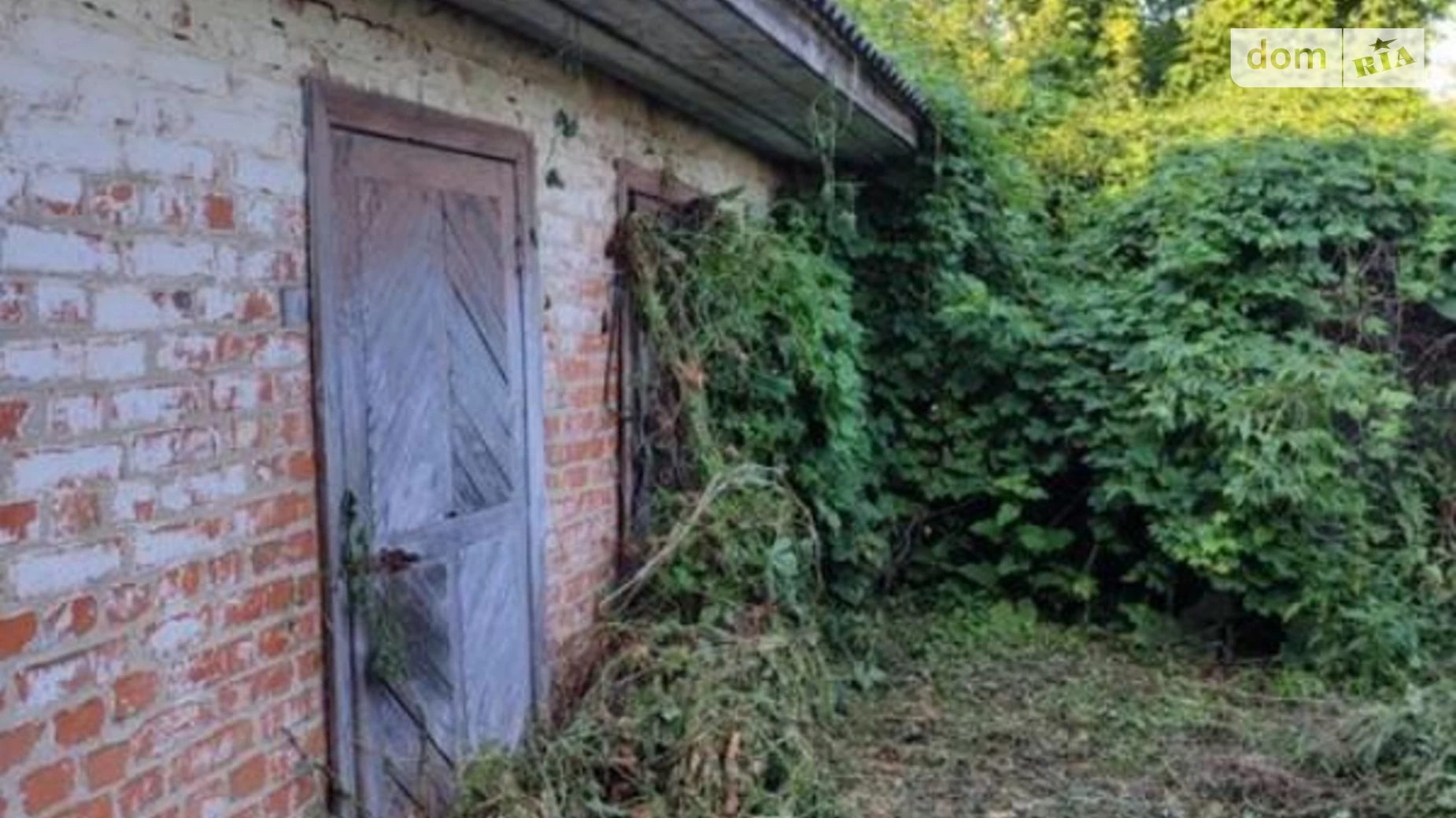 Продается одноэтажный дом 54 кв. м с беседкой, цена: 3000 $ - фото 3