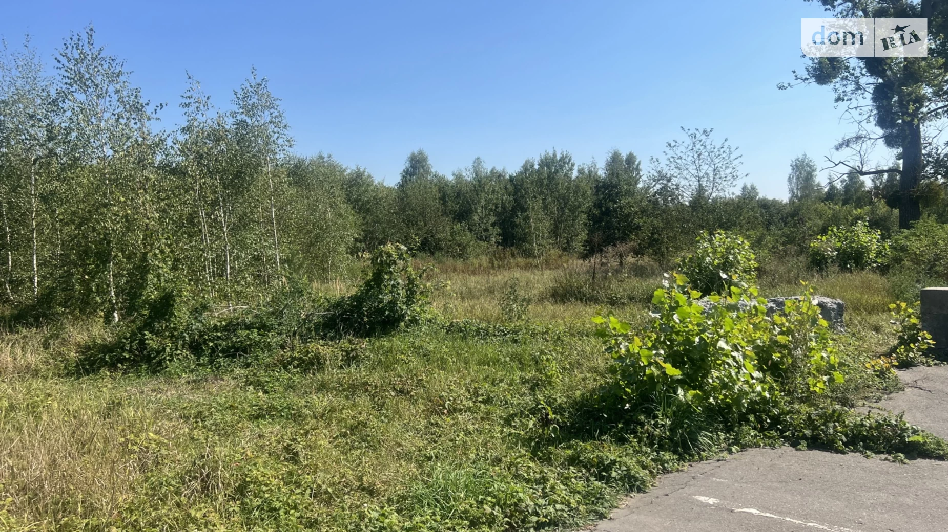 Продается земельный участок 10 соток в Винницкой области, цена: 10000 $ - фото 5
