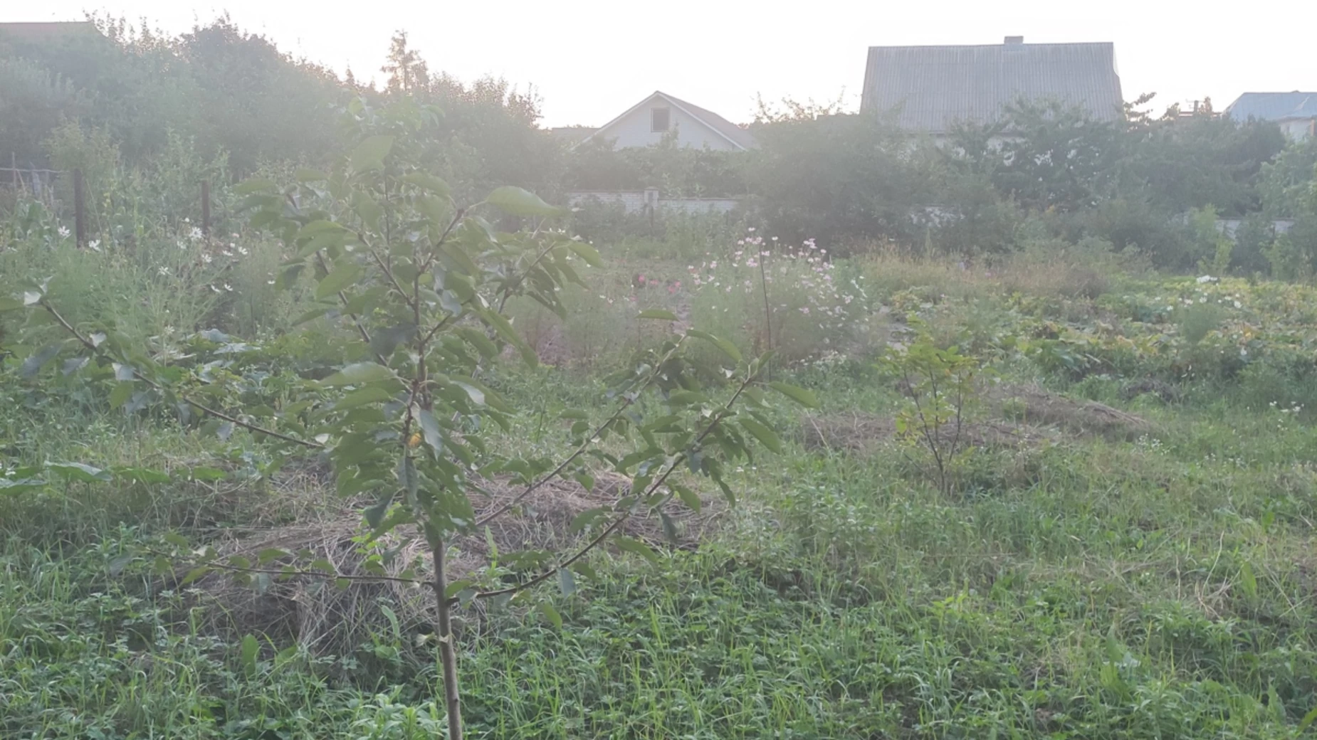 Продается земельный участок 10 соток в Винницкой области, цена: 25000 $ - фото 3