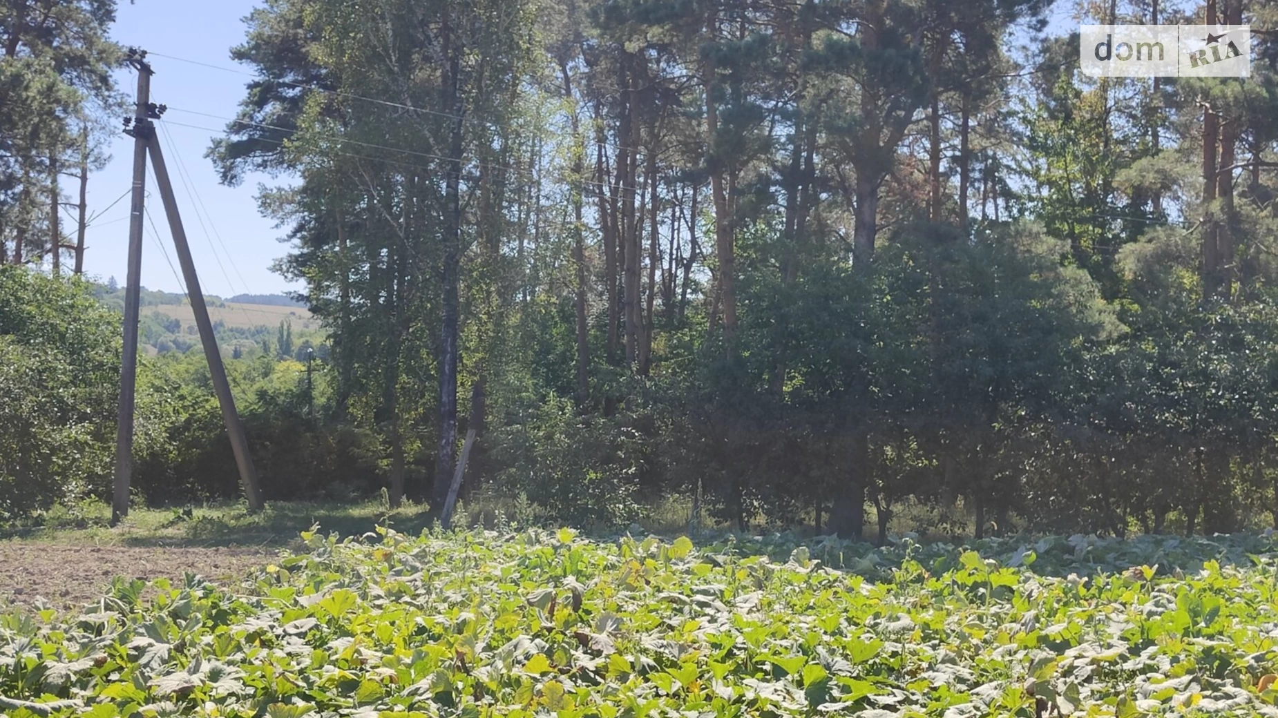 Продається земельна ділянка 22 соток у Вінницькій області, цена: 22000 $ - фото 3