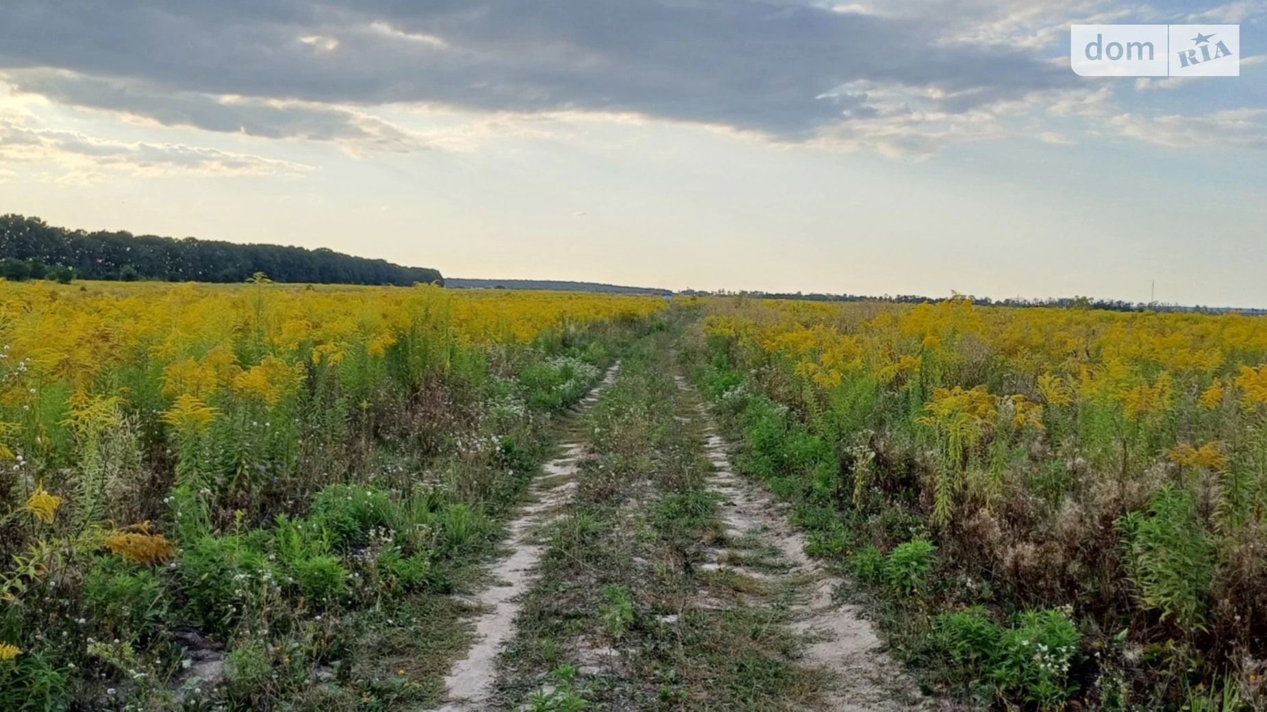 Продається земельна ділянка 6 соток у Вінницькій області, цена: 16000 $ - фото 2