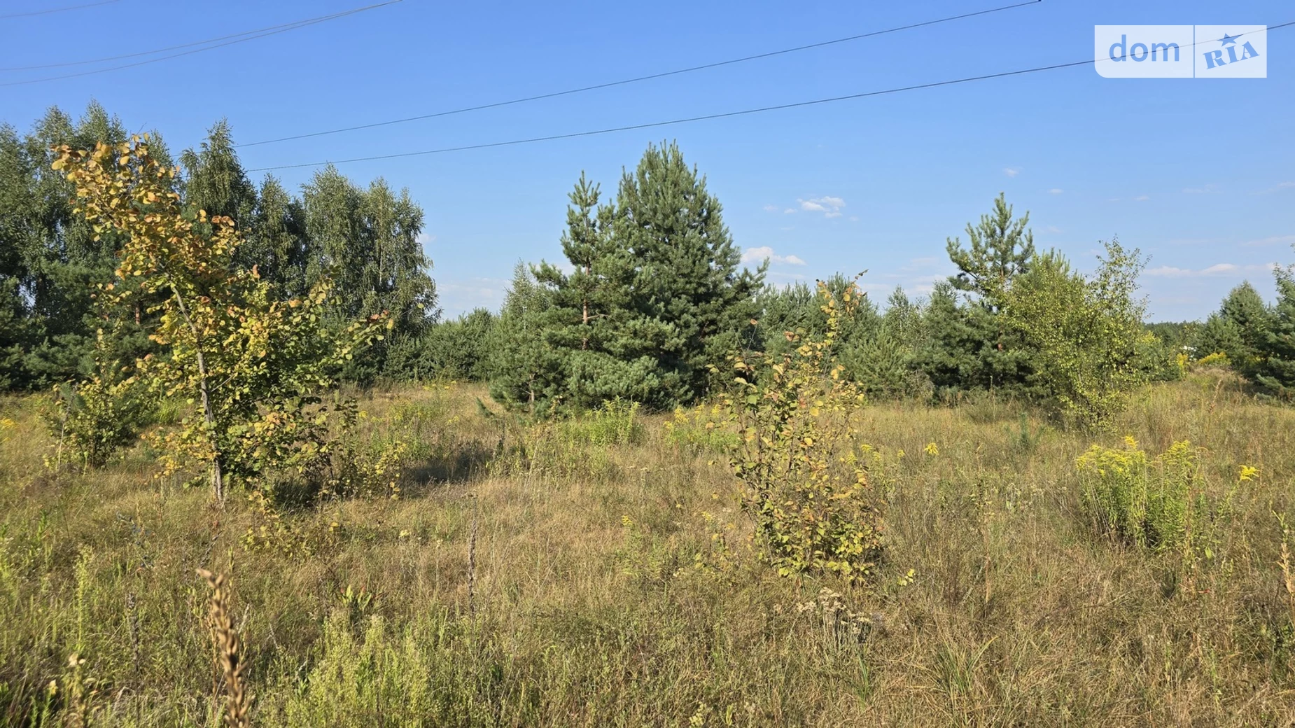 Продається земельна ділянка 16 соток у Житомирській області, цена: 9800 $ - фото 2