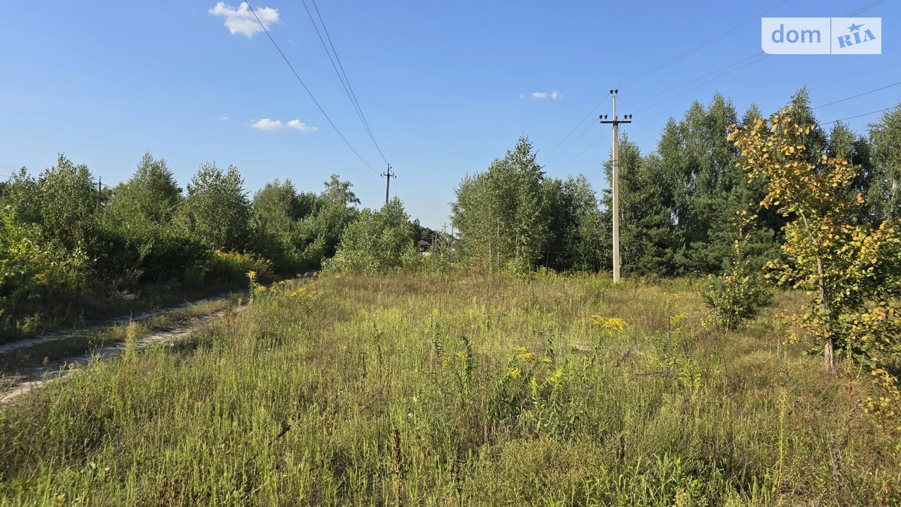 Продається земельна ділянка 16 соток у Житомирській області, цена: 9800 $ - фото 5