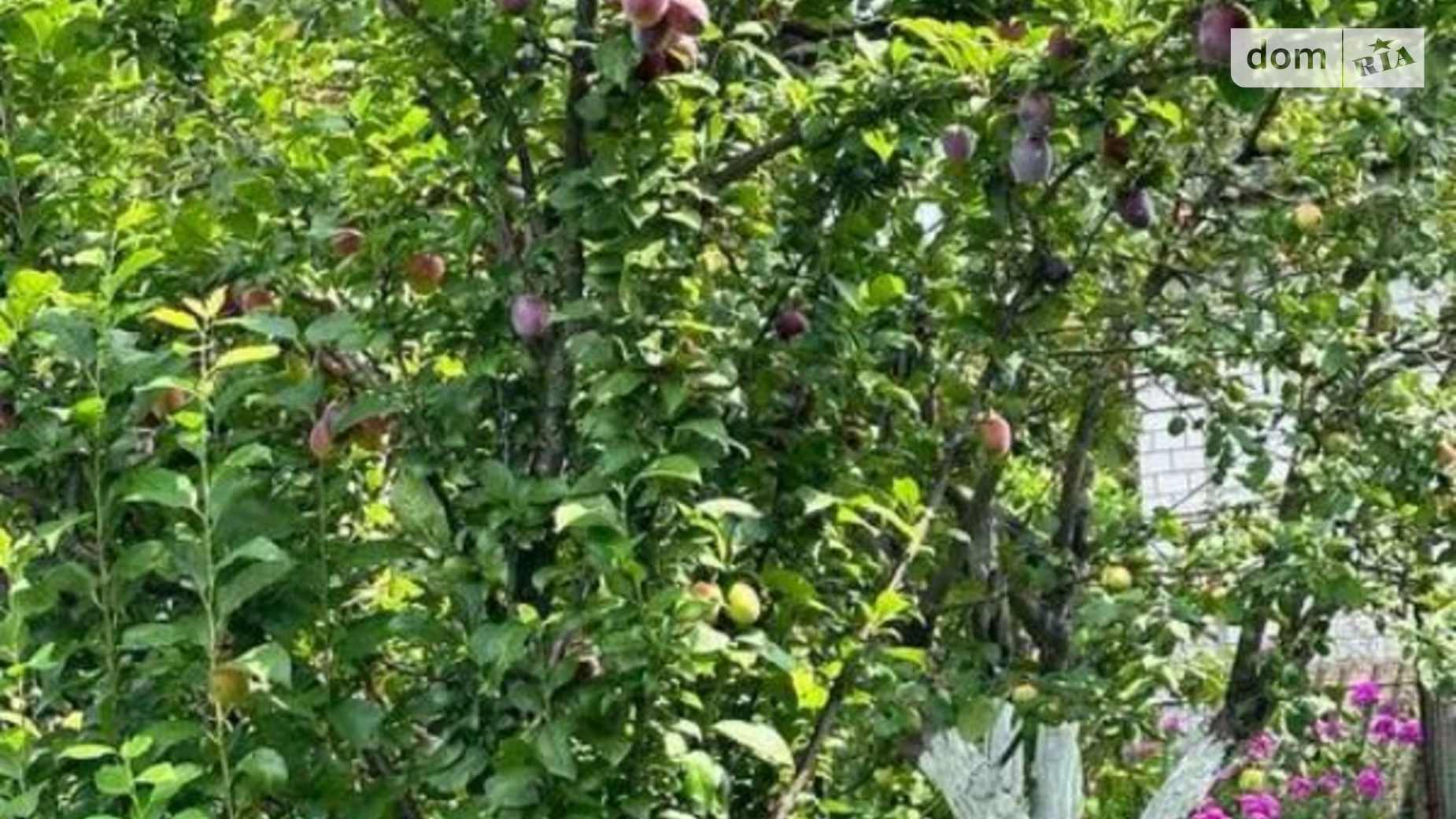 Продается дом на 2 этажа 30 кв. м с бассейном, цена: 4500 $ - фото 4