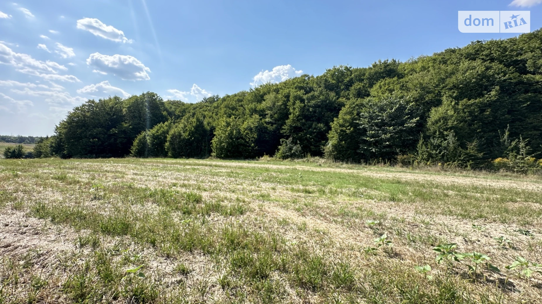 ул. Пирогова Лука-Мелешковская, цена: 575000 $ - фото 2